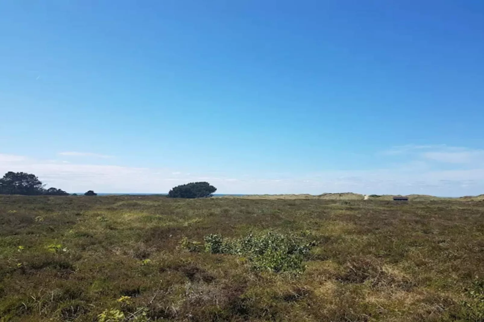 5 Personen Ferienhaus in Læsø-By Traum-Nicht zugeordnet