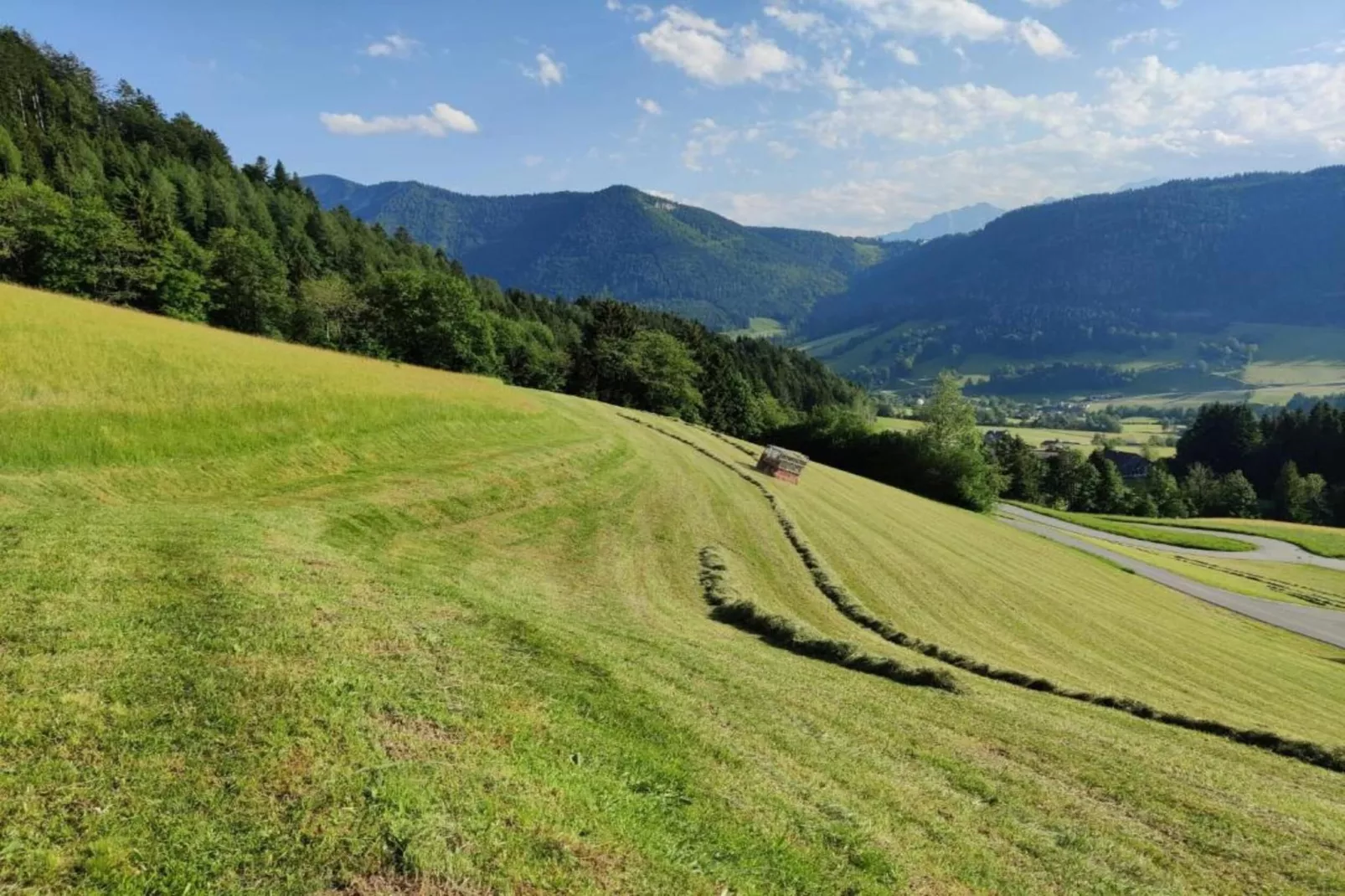 Ferienhaus Rieger-Gebiete Sommer 20 km