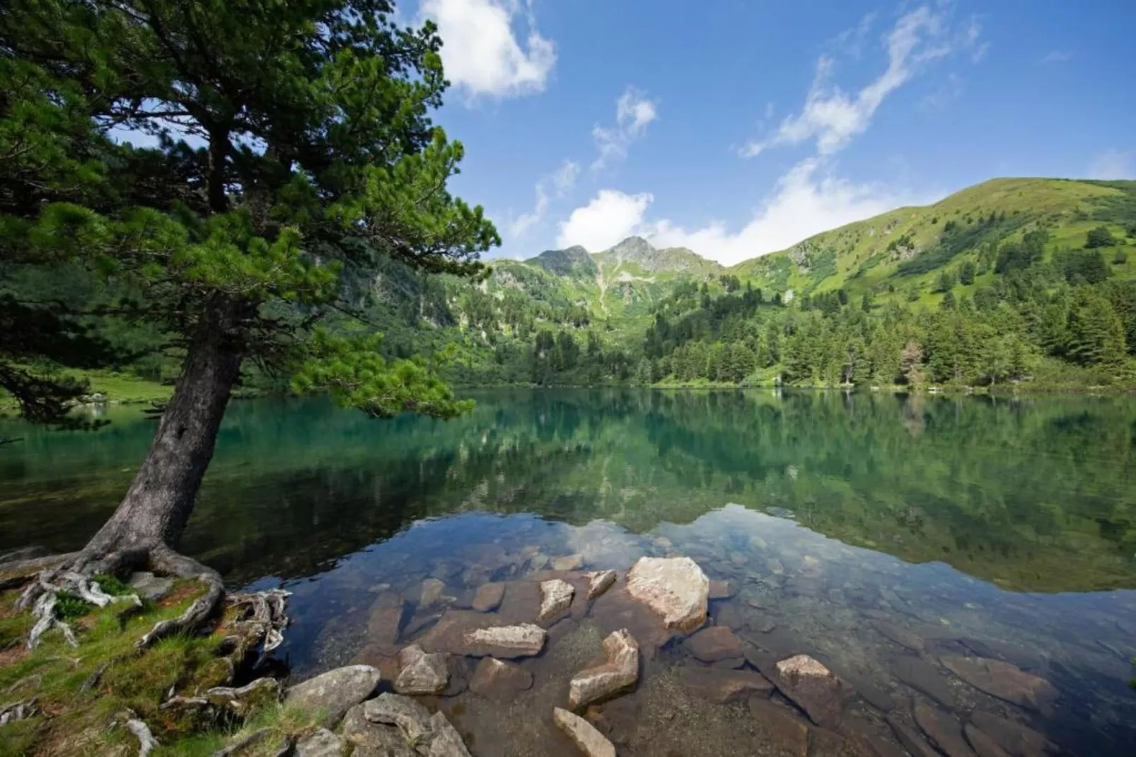 Apartment Passhöhe Top 5-Areas within 20km in summer