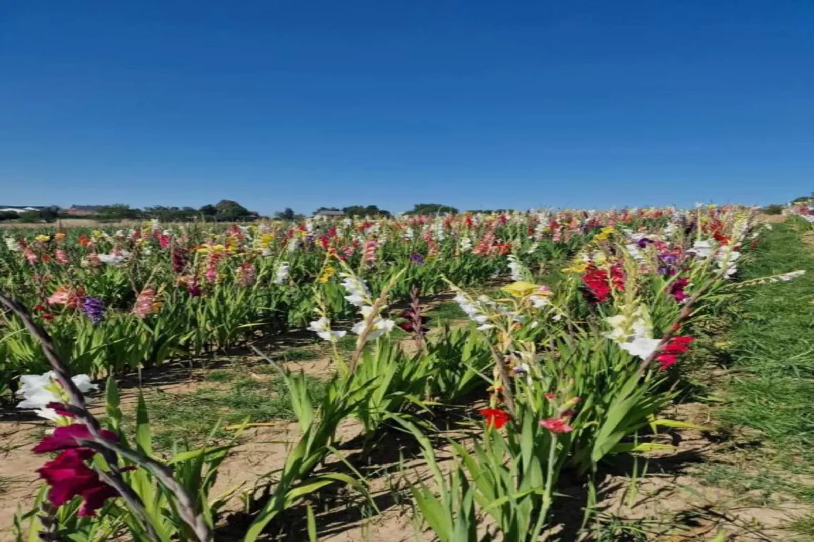 Macray La Colline aux Framboises-Areas within 20km in summer