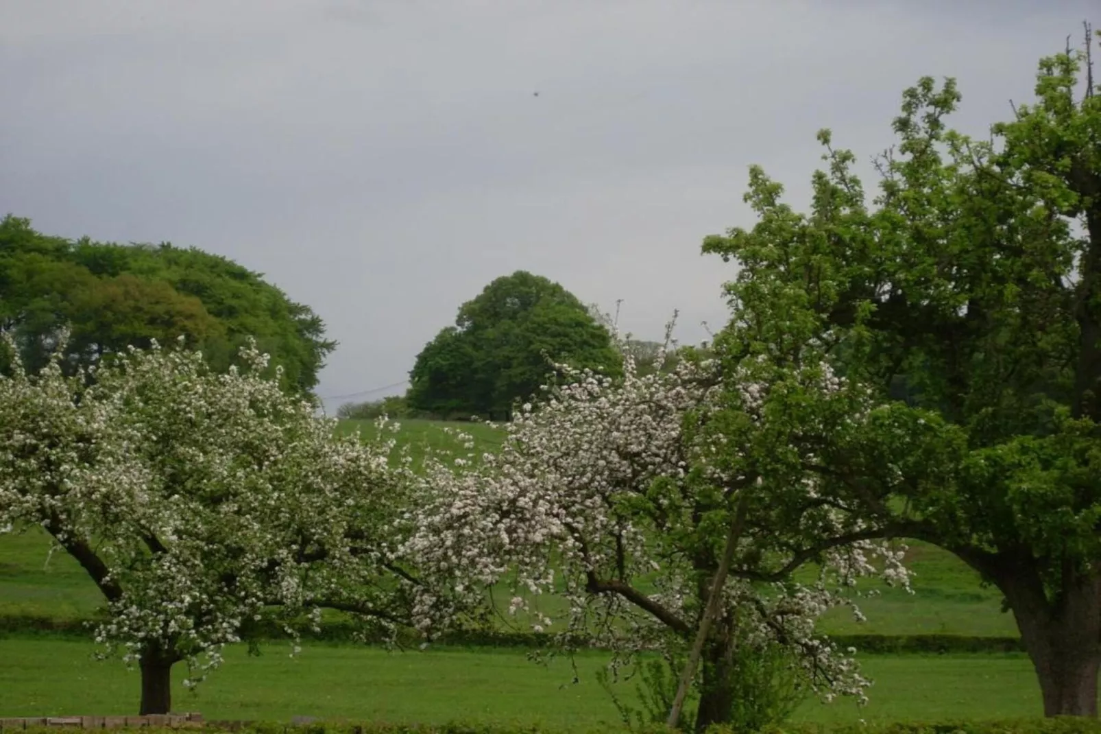 La Limbourgeoise-Areas within 20km in summer
