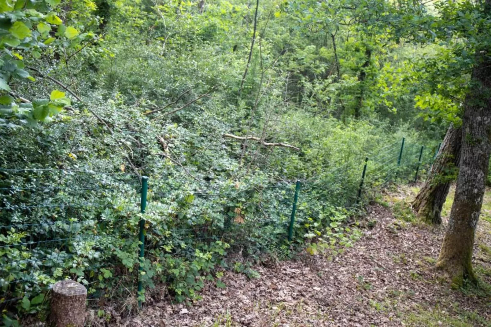 La Dolina-Zones été à 20 km