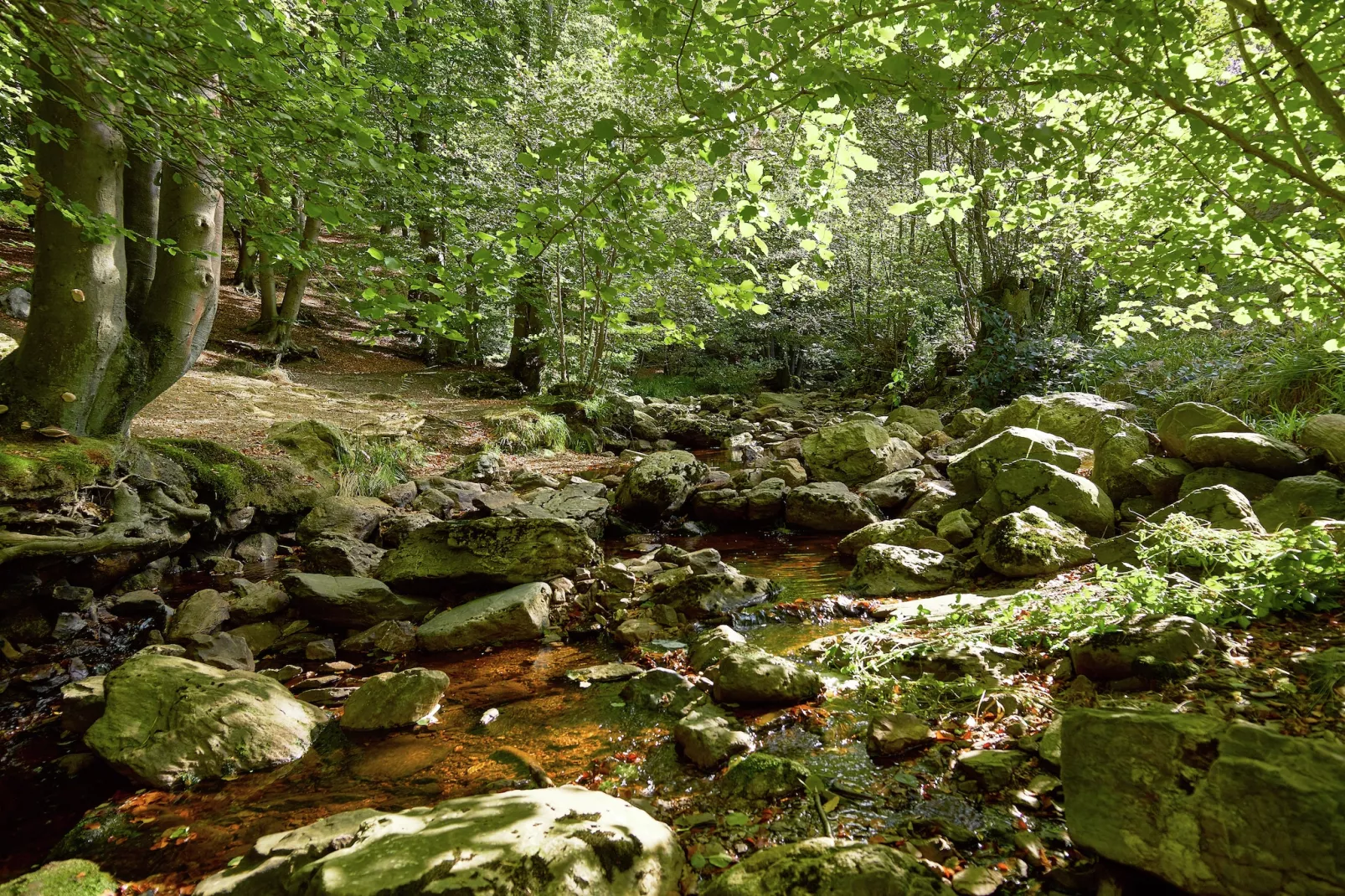 La Statte-Areas within 1km in summer