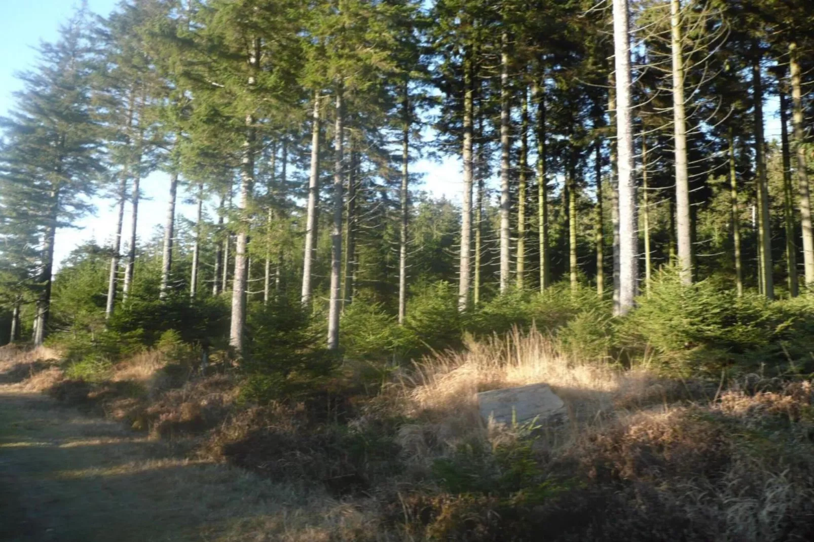 Le Refuge du Poète-Areas summer 20km
