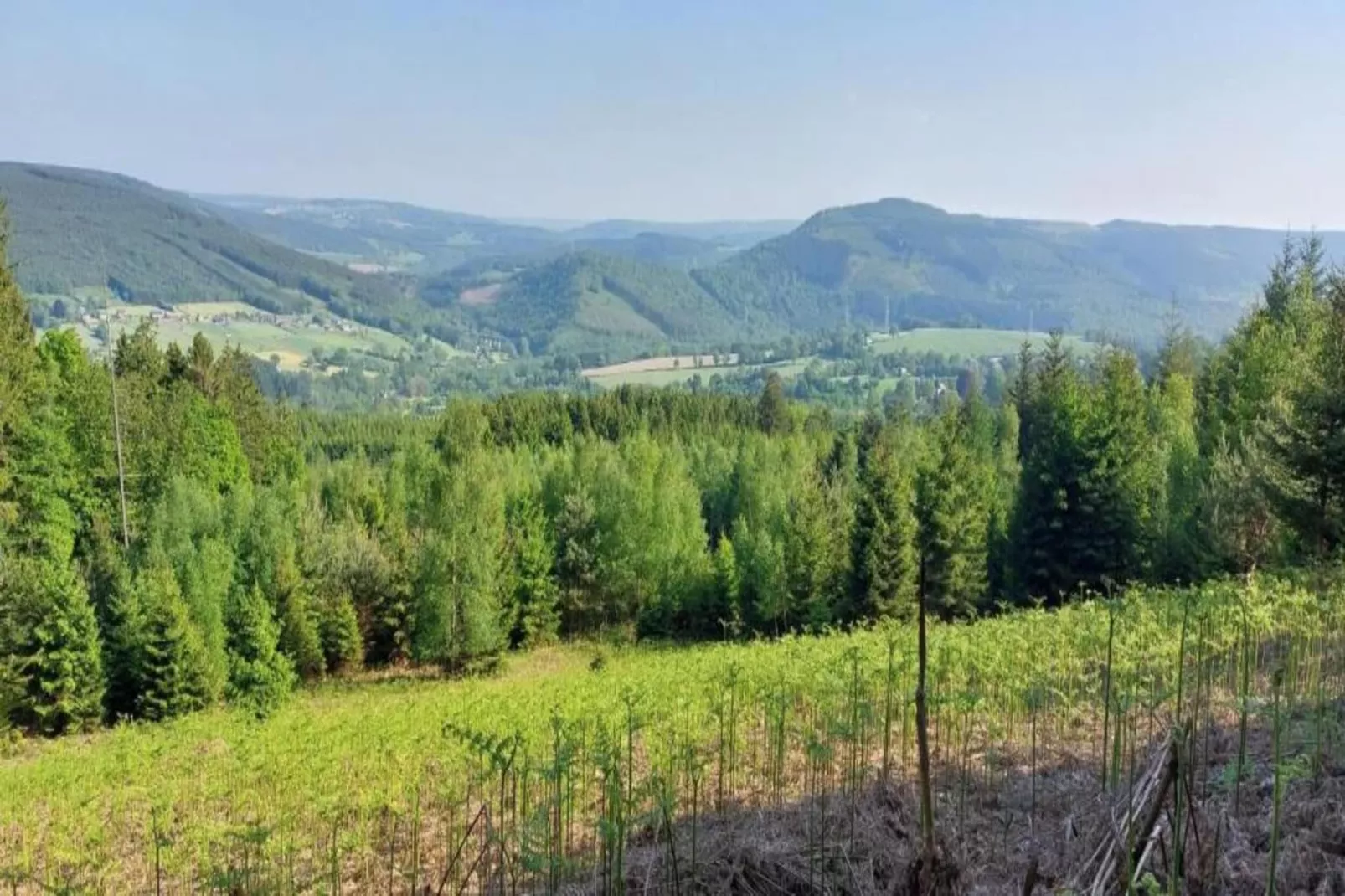 Orchidee-Areas within 20km in summer