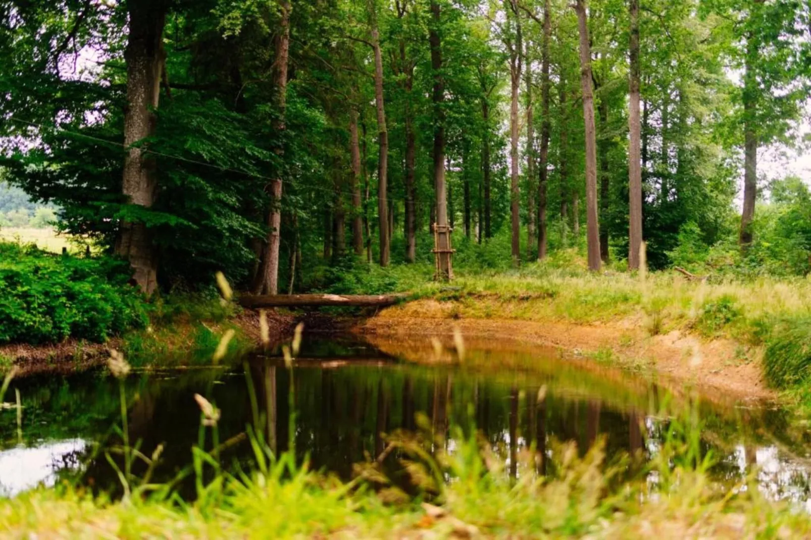 Le Noyer-Areas within 20km in summer