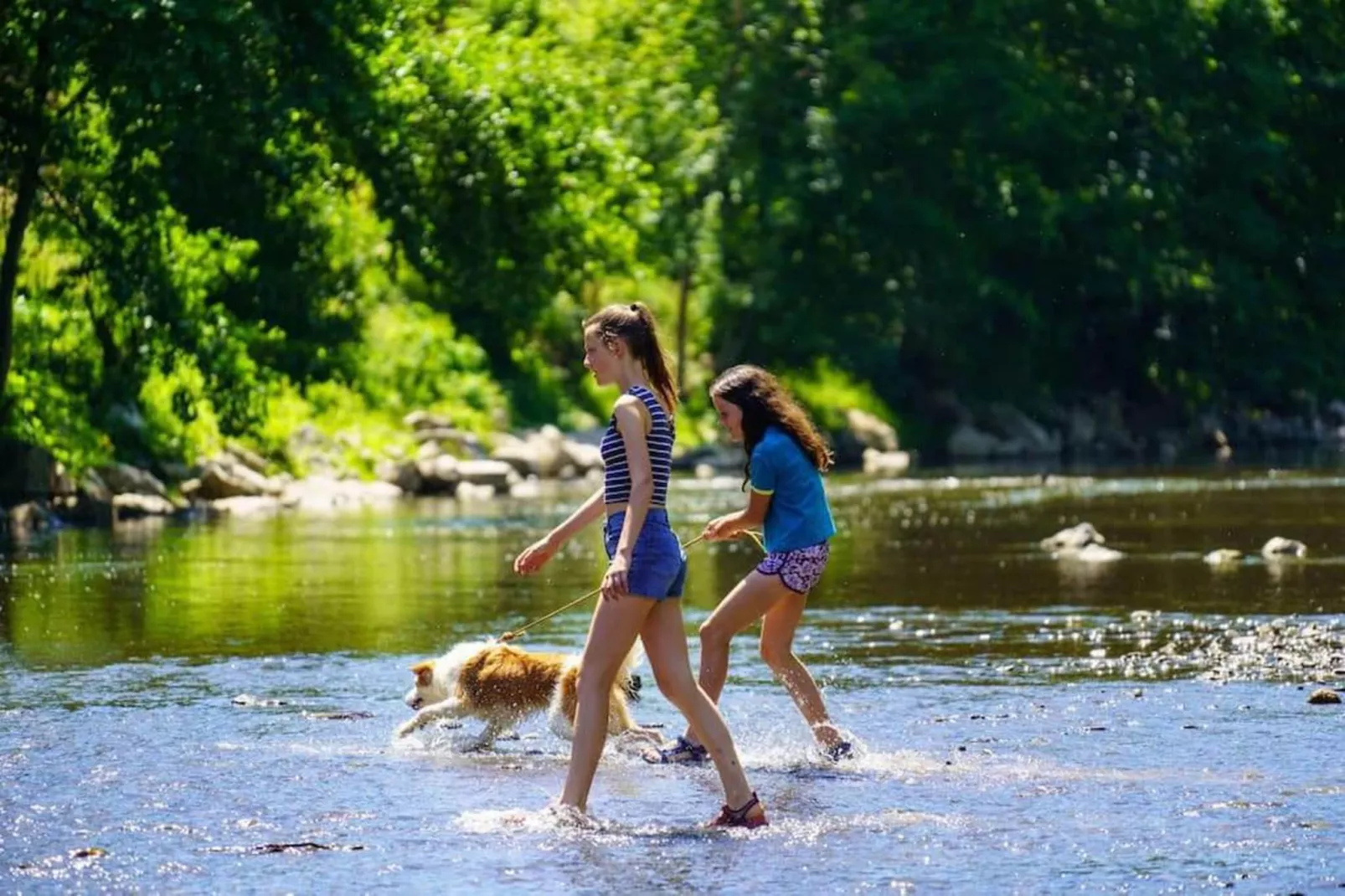 Nid des Amis-Areas within 20km in summer