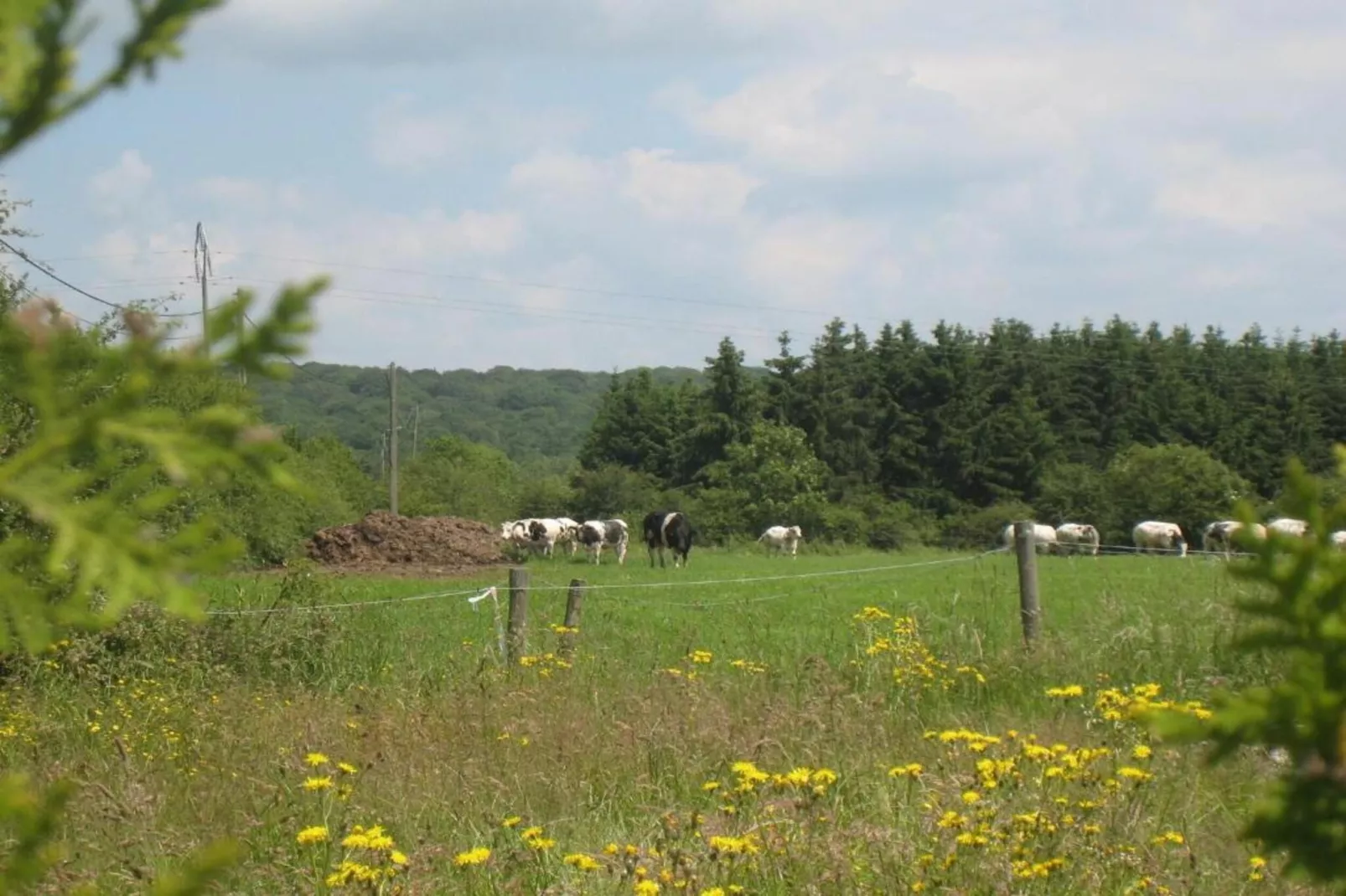 Les Sittelles-Areas within 20km in summer