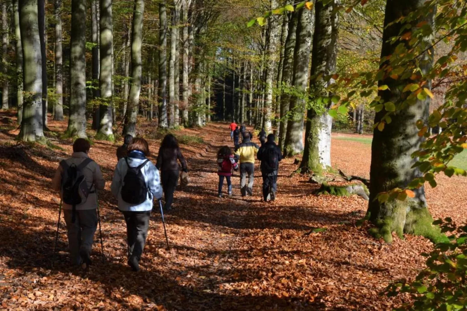 Chez Beau-Areas within 20km in summer