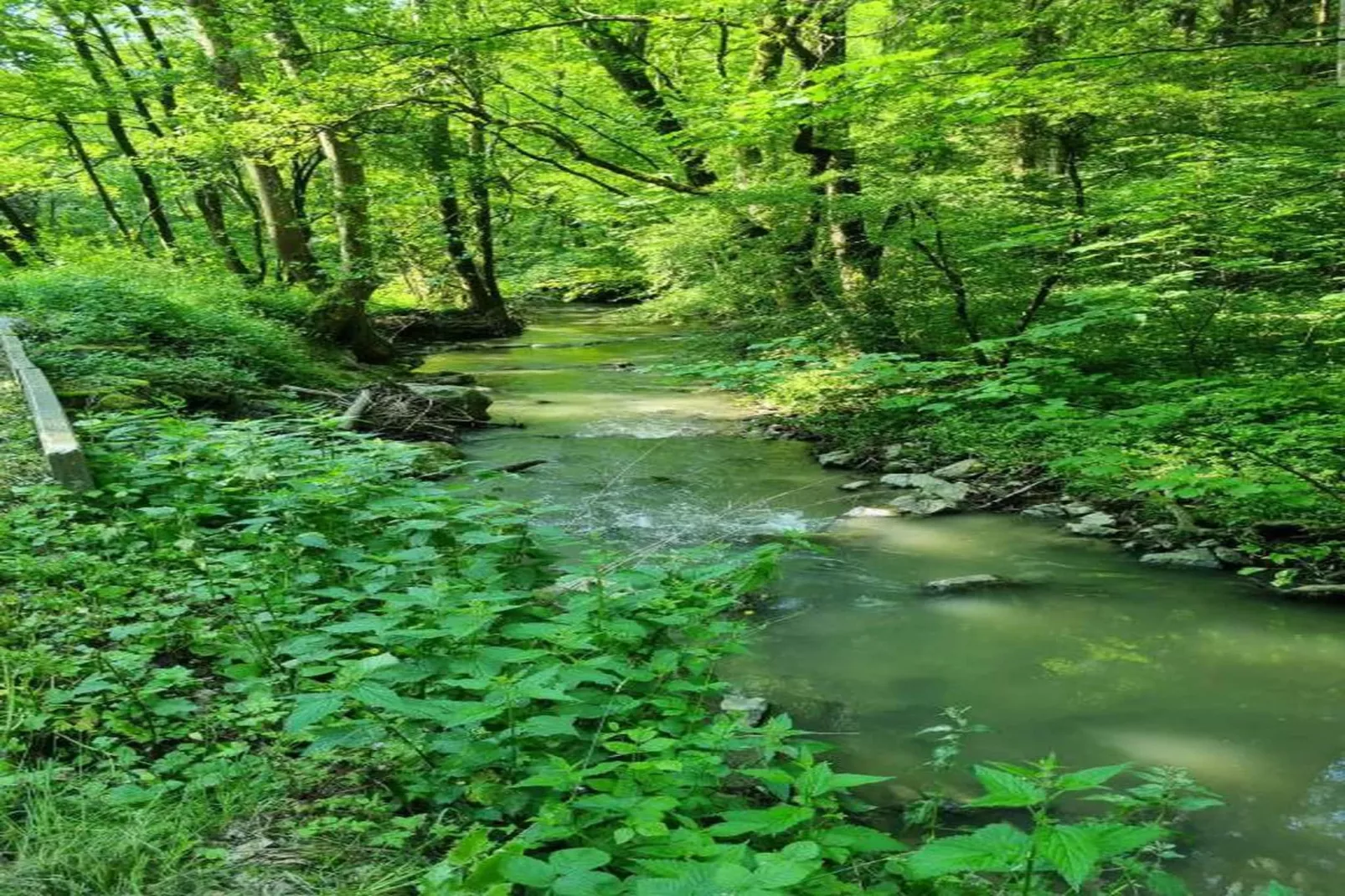 Chalet d'aventures-Areas within 20km in summer