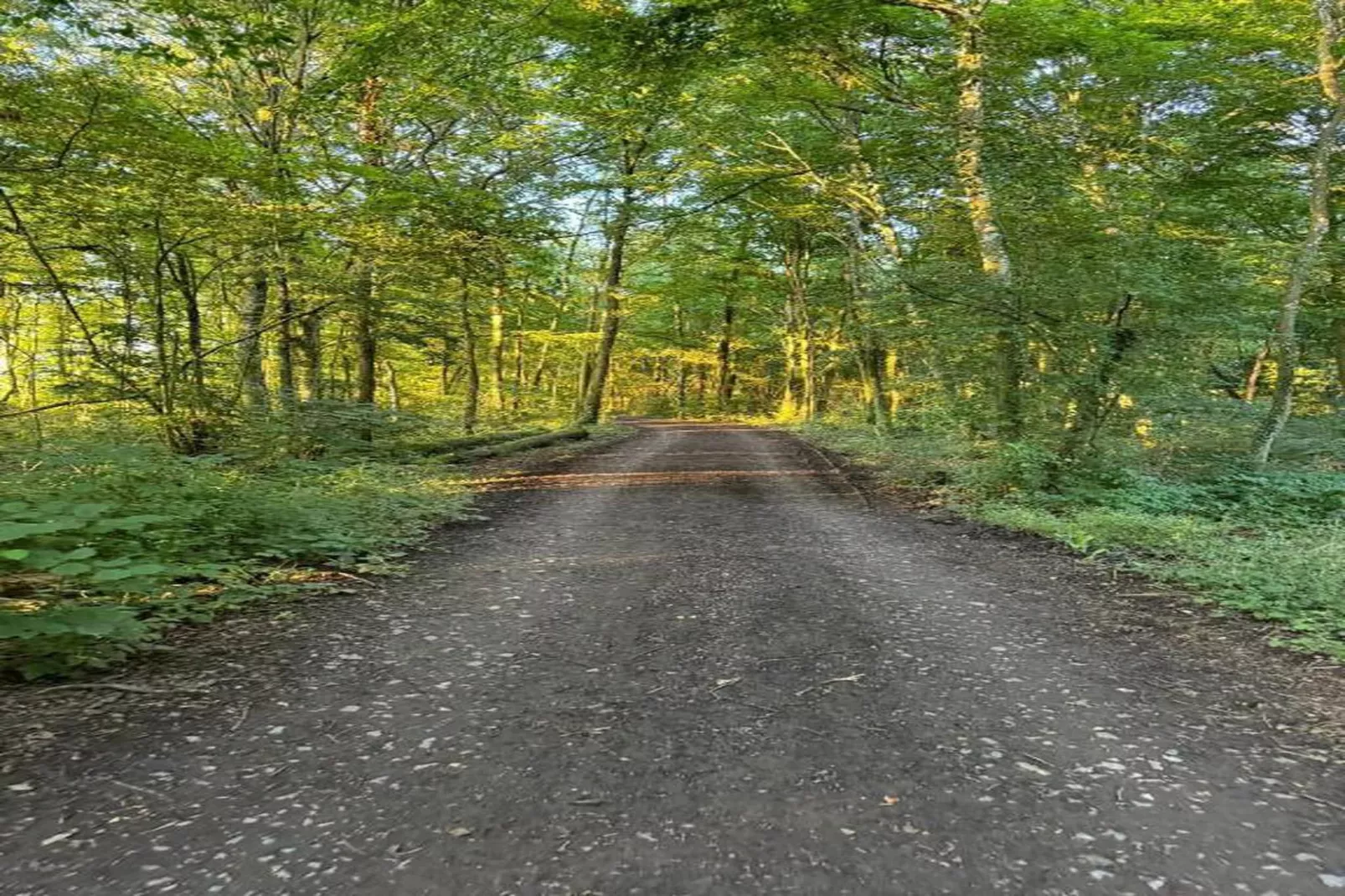 CHALET CATO-Areas within 20km in summer