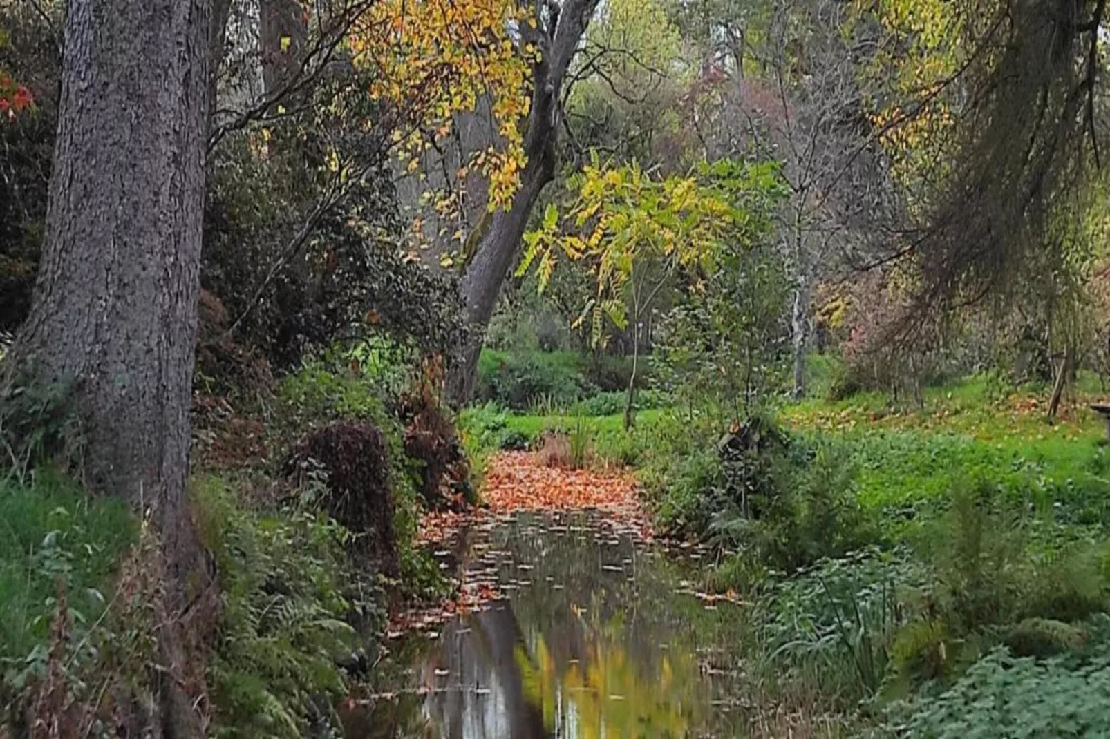 Les Genets-Areas within 20km in summer