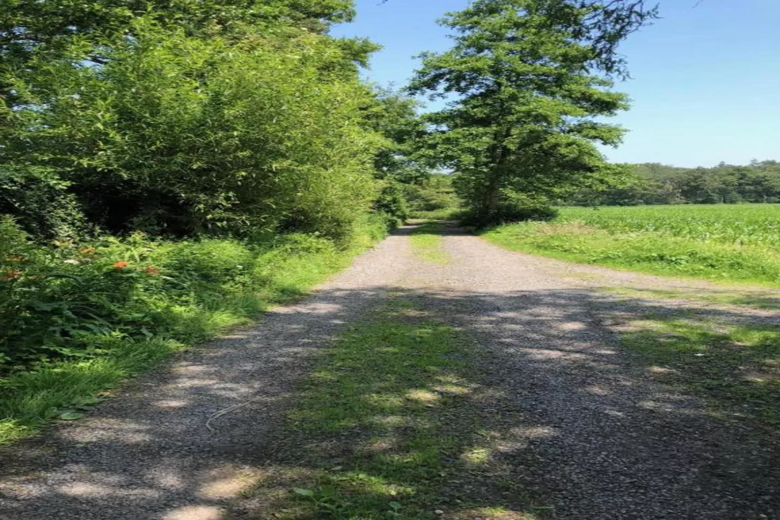 Casteeldoorn-Areas within 20km in summer