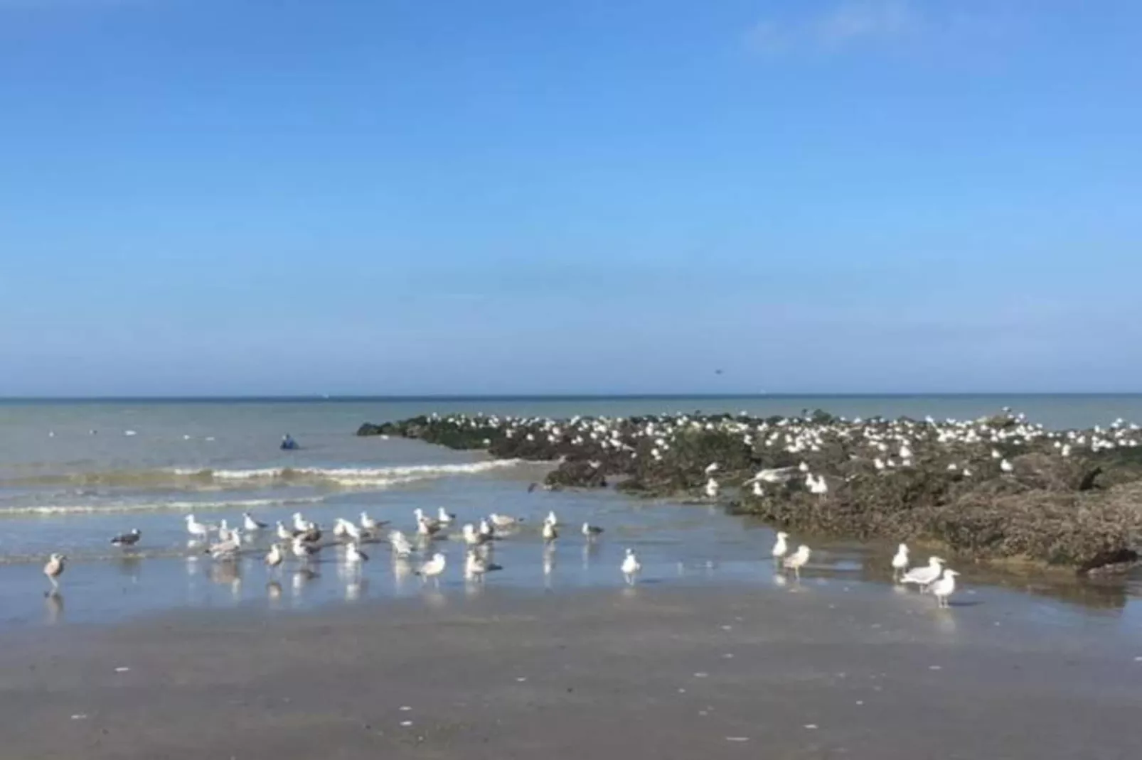 Normandie-Zones été à 1 km