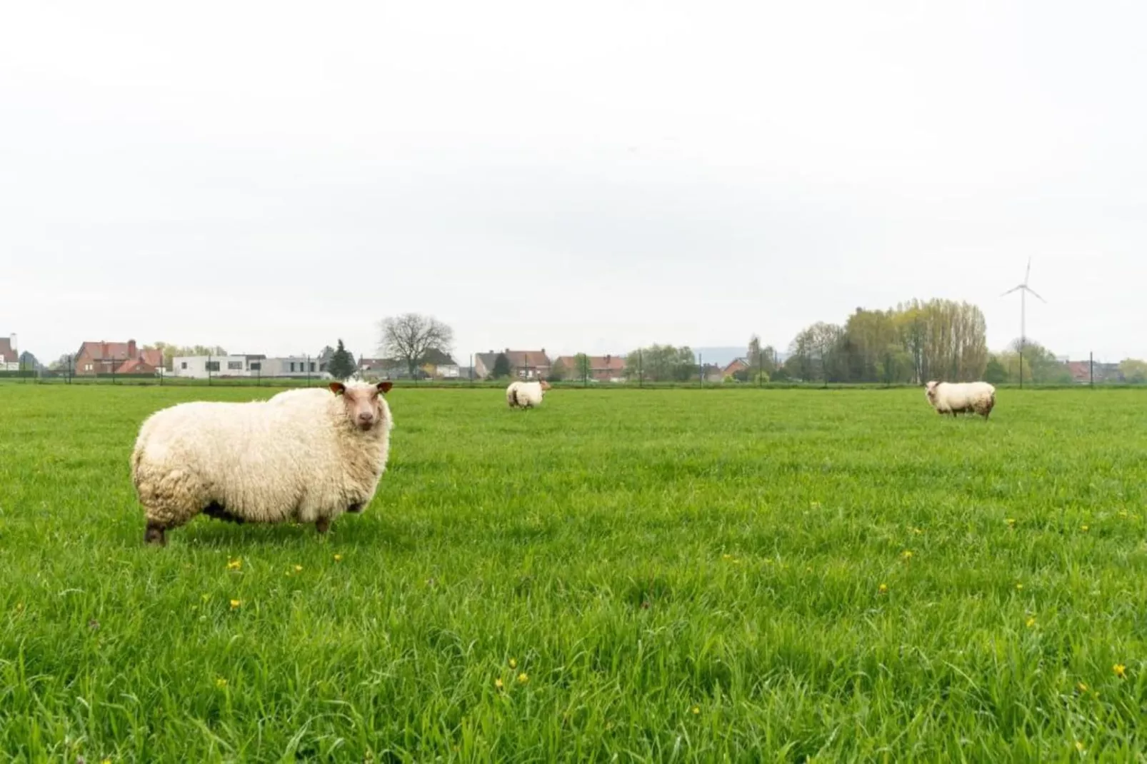 Wellness vakantiehuis Vlaamse Ardennen-Gebiete Sommer 20 km