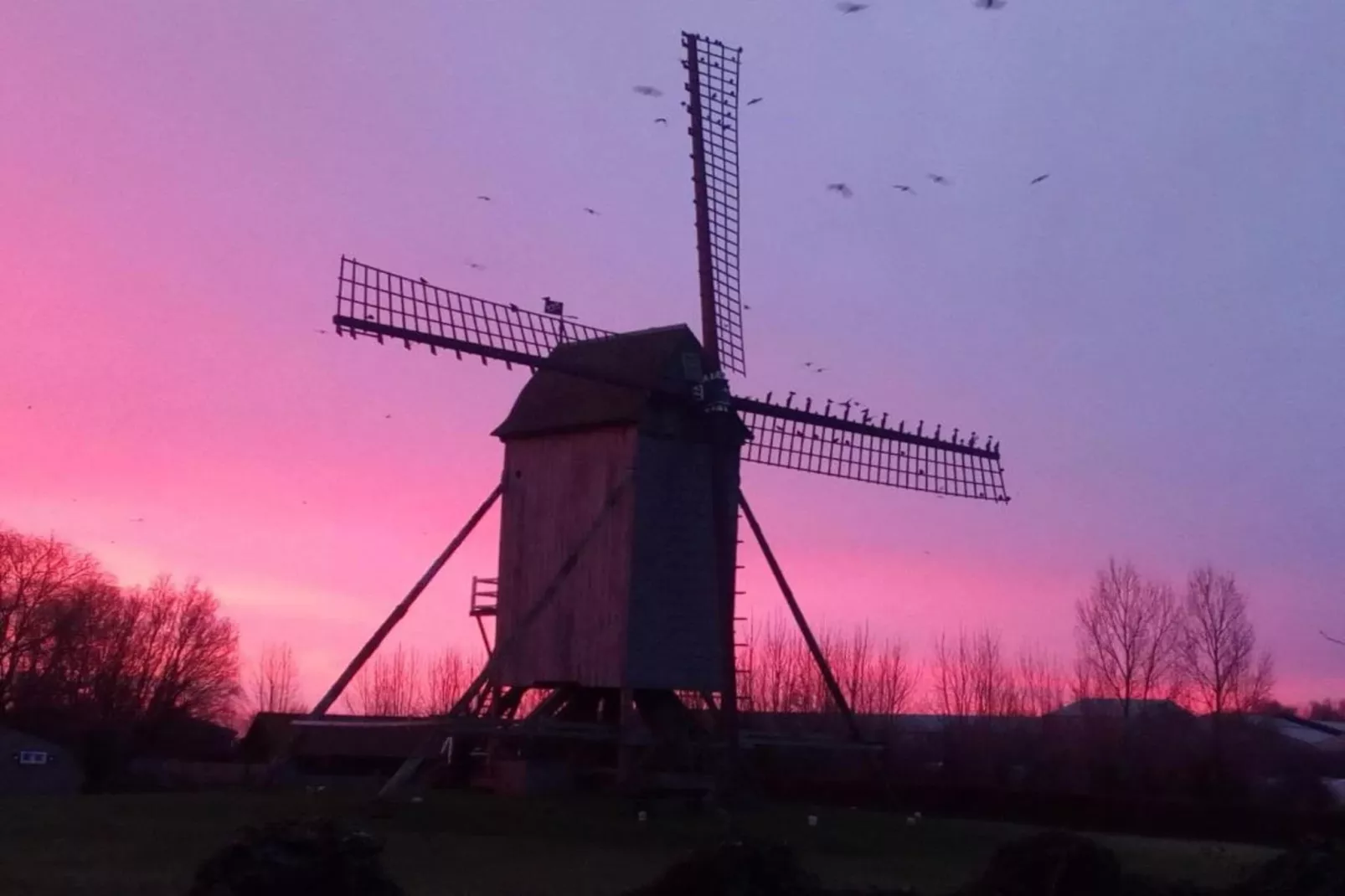 De Bietenmolen-Gebiete Sommer 5 km