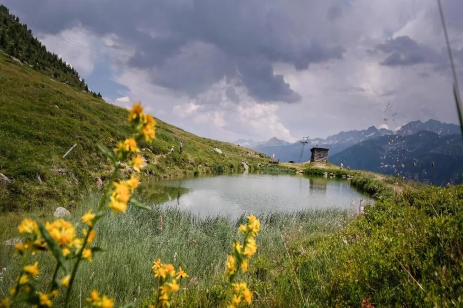 Bel Air-Areas within 5km in summer