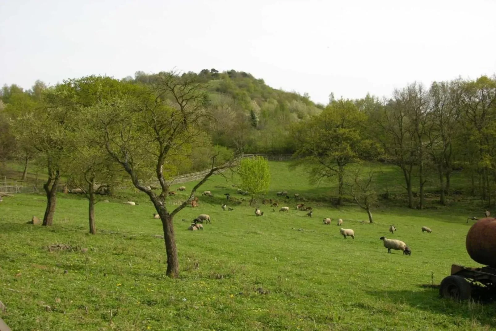 Rita-Areas within 5km in summer