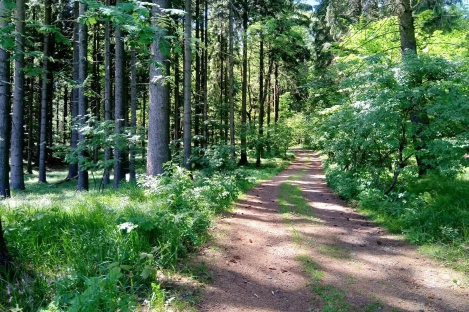 Barbora-Areas within 5km in summer