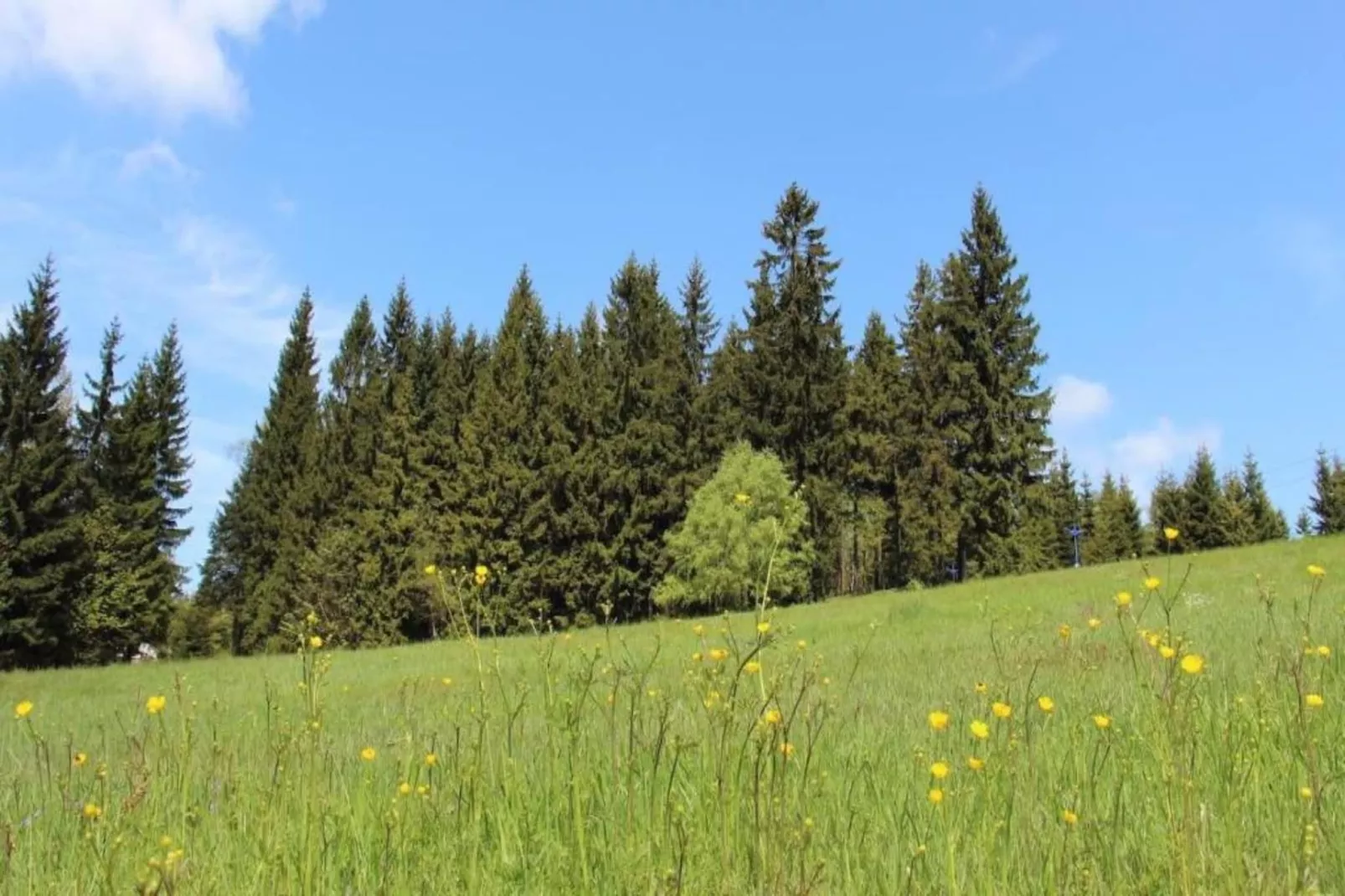 Monika-Areas within 5km in summer