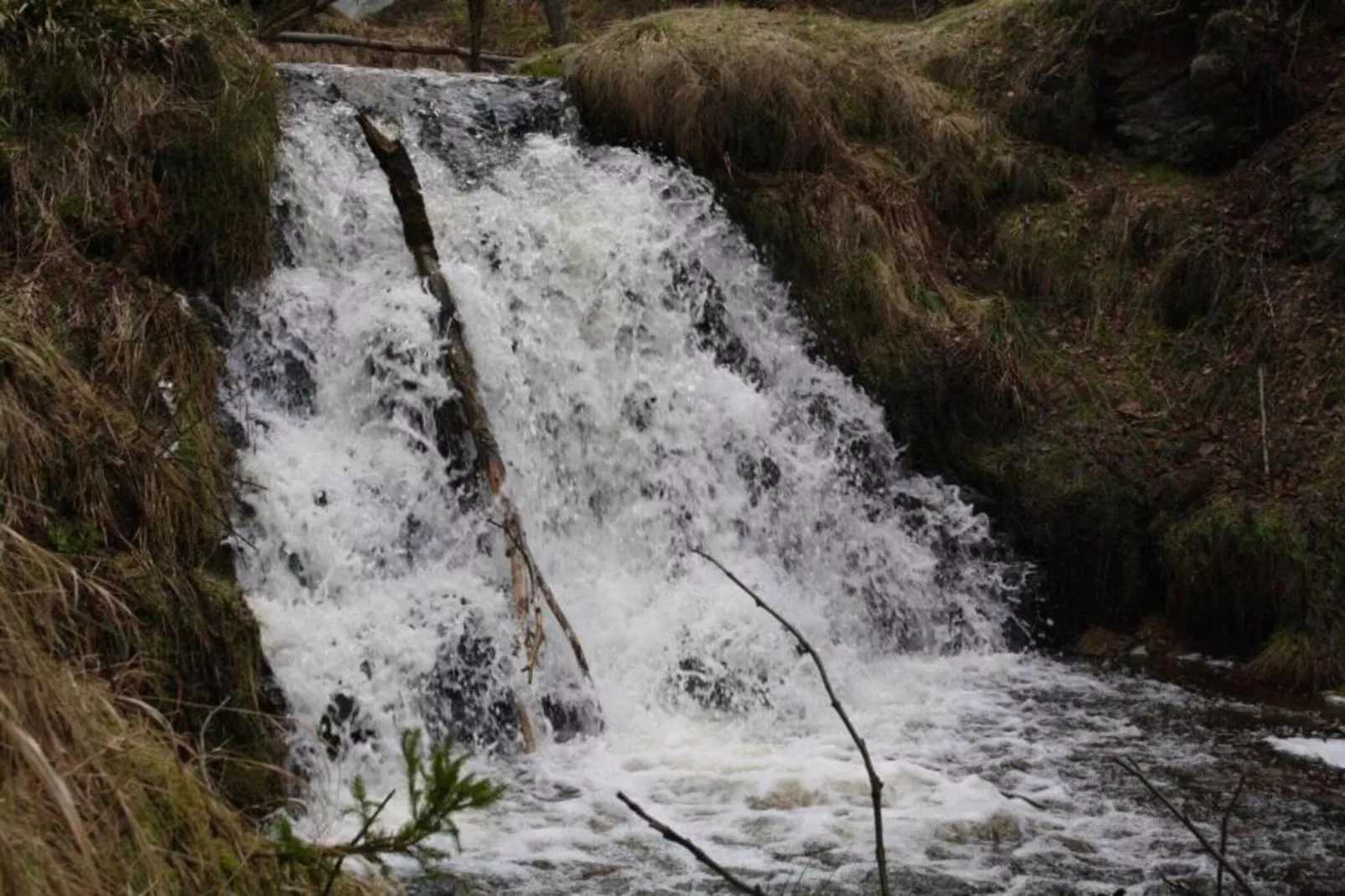 Stela-Areas within 5km in summer