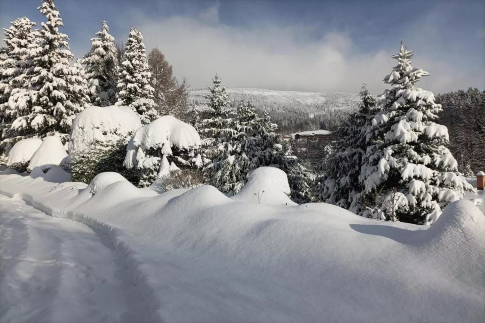 Galina B-Areas within 20km in summer