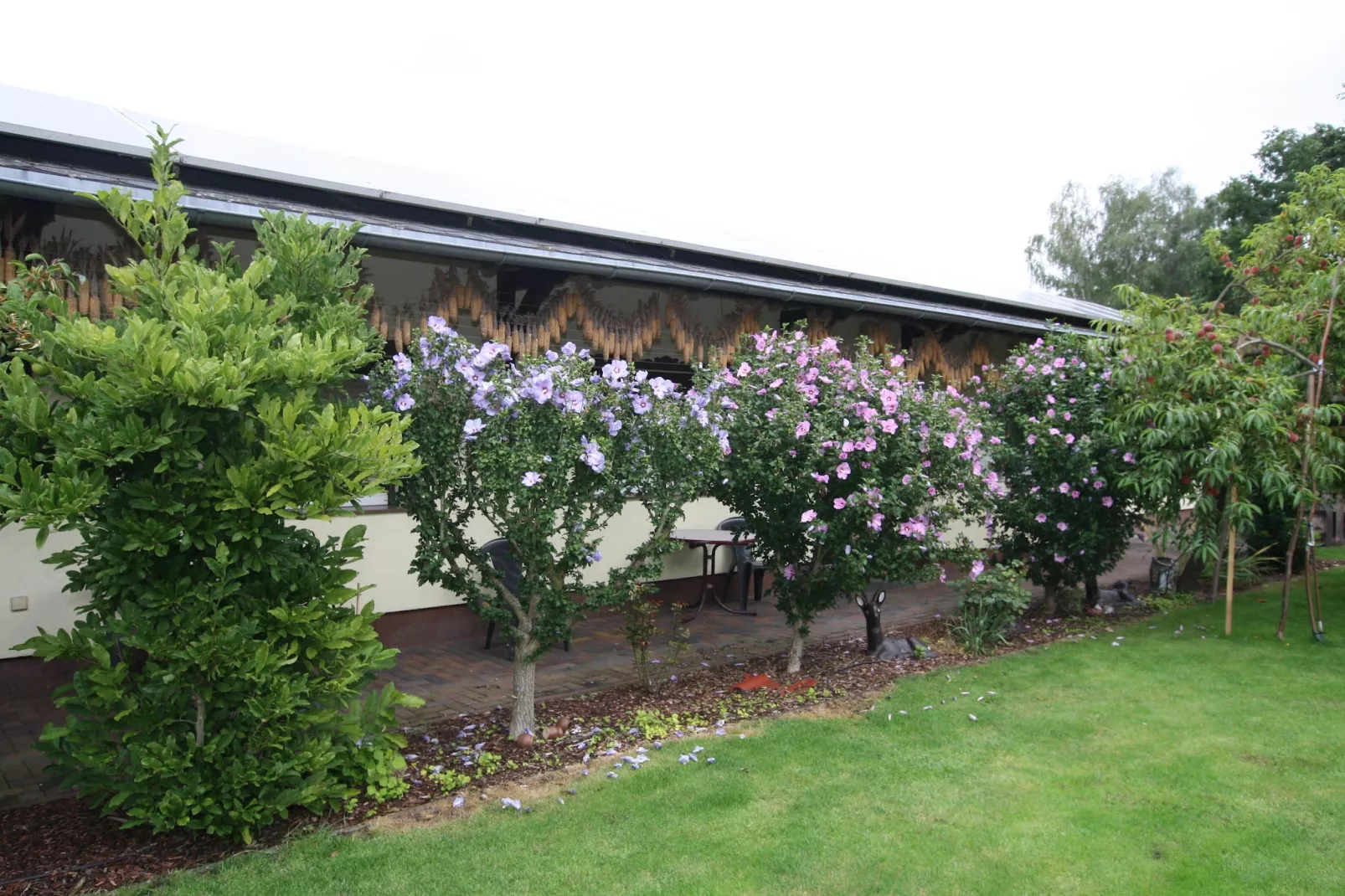 Reihenbungalow an einem Spreearm-Exterior in summer