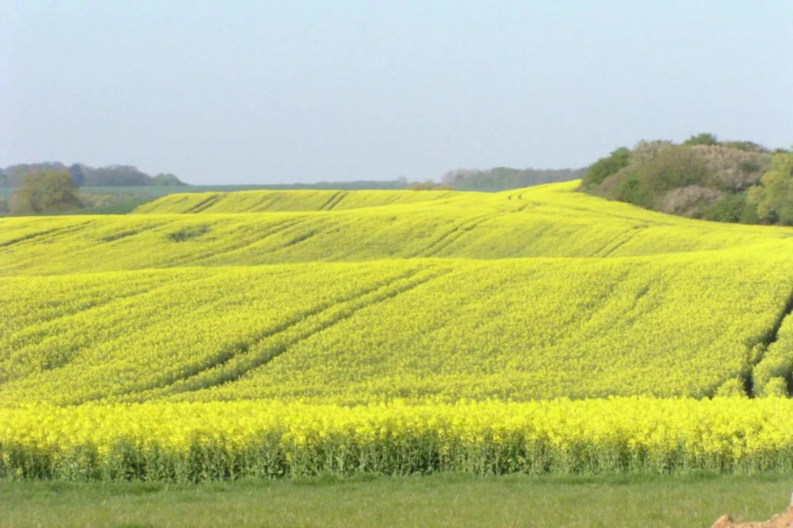 Gartenblick bei Gerdshagen-Areas within 20km in summer