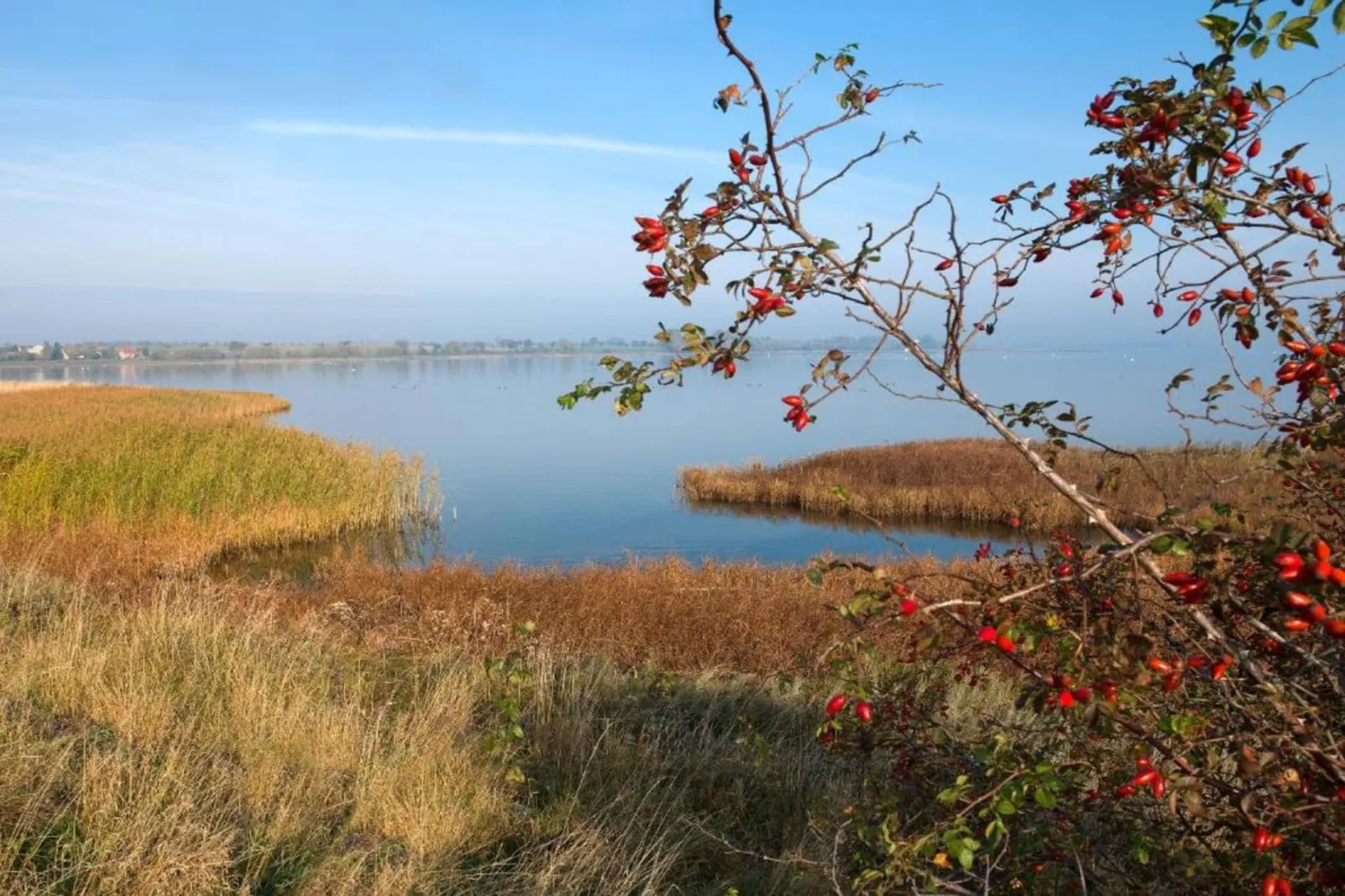 Bungalowanlage Gänseblümchen 2-Zones été à 20 km