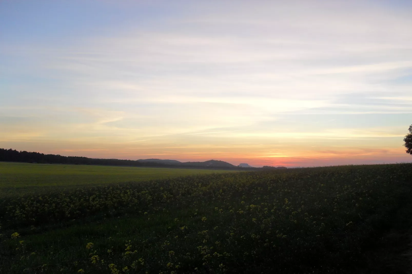Sächsische Schweiz-Gebiete Sommer 20 km