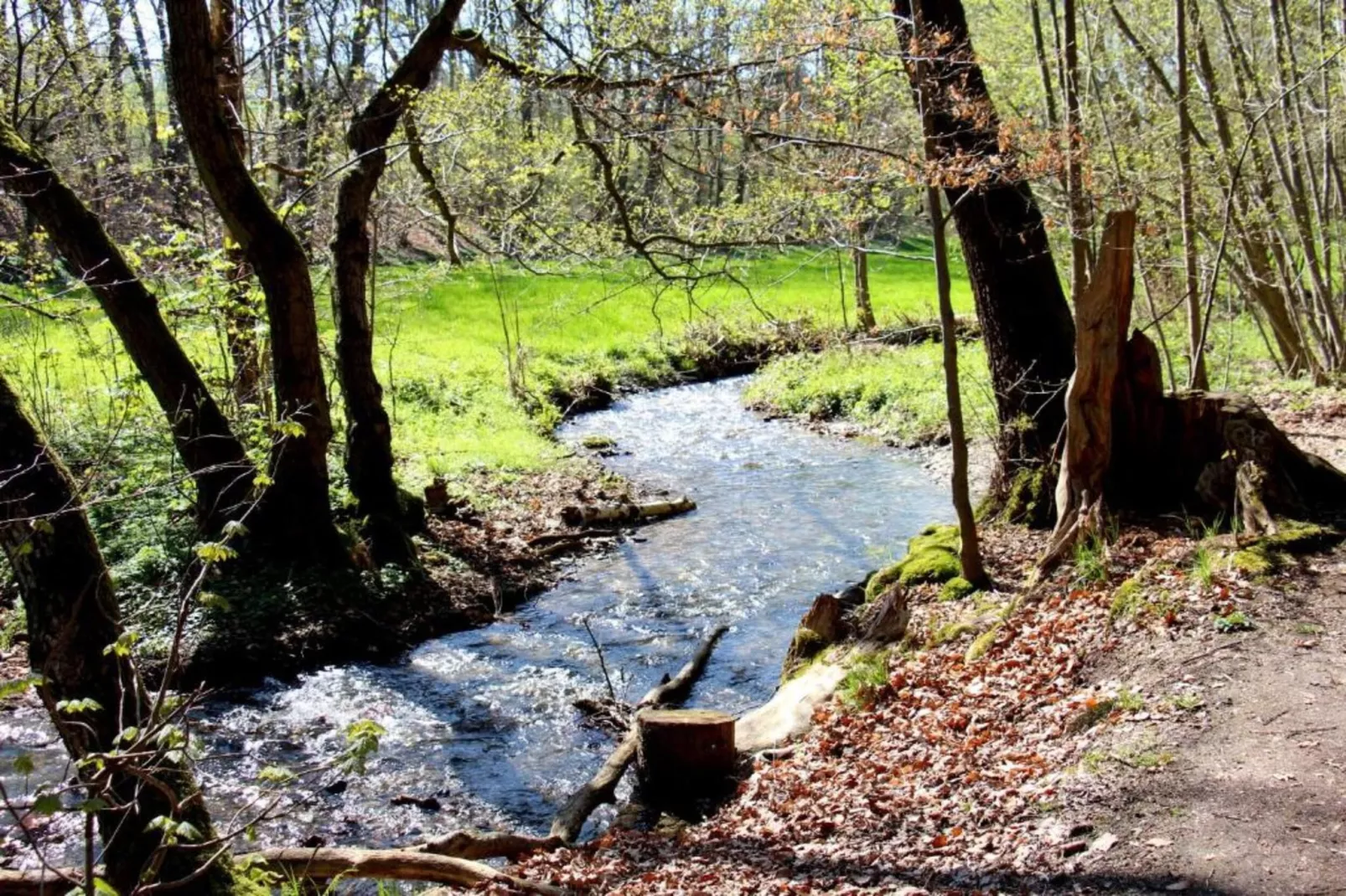 Zum Erzgebirge-Areas within 20km in summer