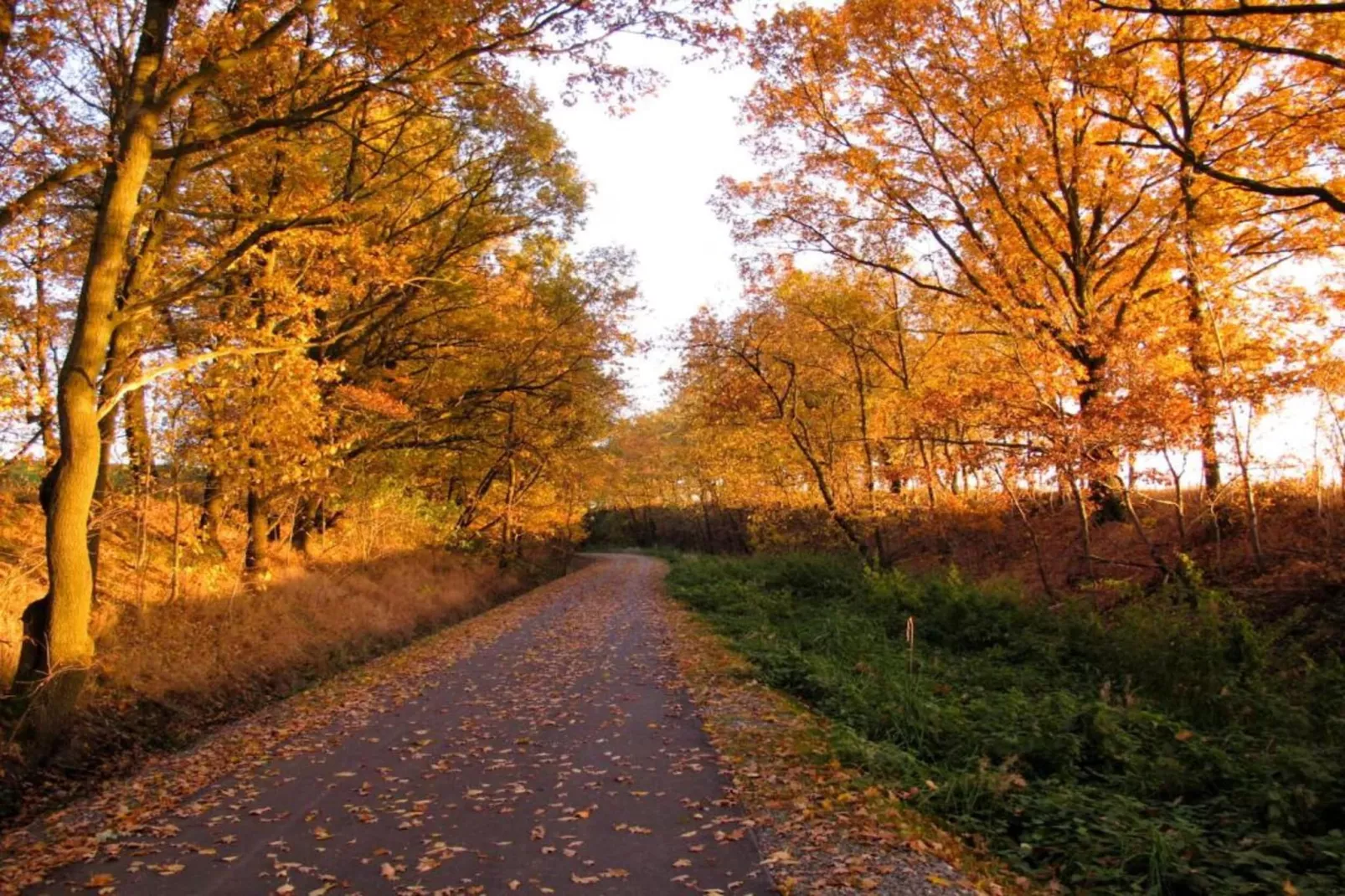 Vogtland-Areas within 20km in summer
