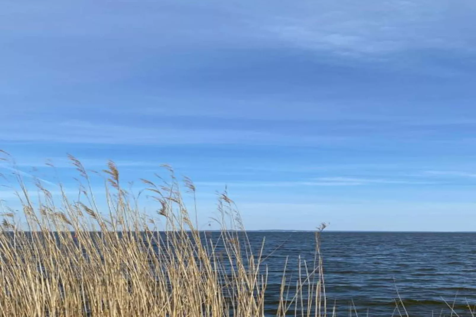 Ferienhaus Ahlbeck am Haff - Schlafen unter Reet / 2-Areas within 20km in summer