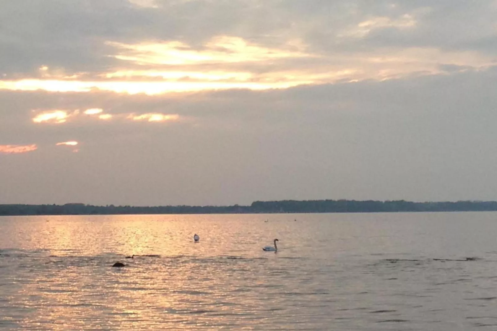 Urlaub vor den Toren der Hansestadt Wismar-Gebiete Sommer 5 km