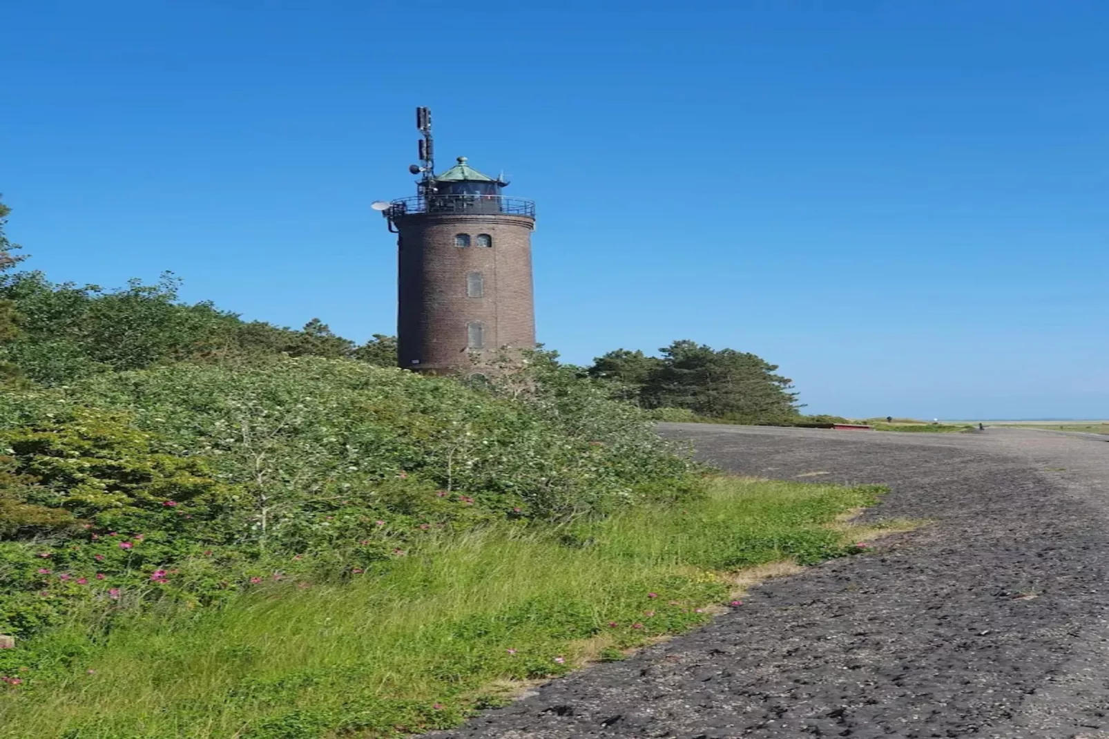 Ferienwohnung Salzwiesen St Peter-Ording-Gebiete Sommer 5 km