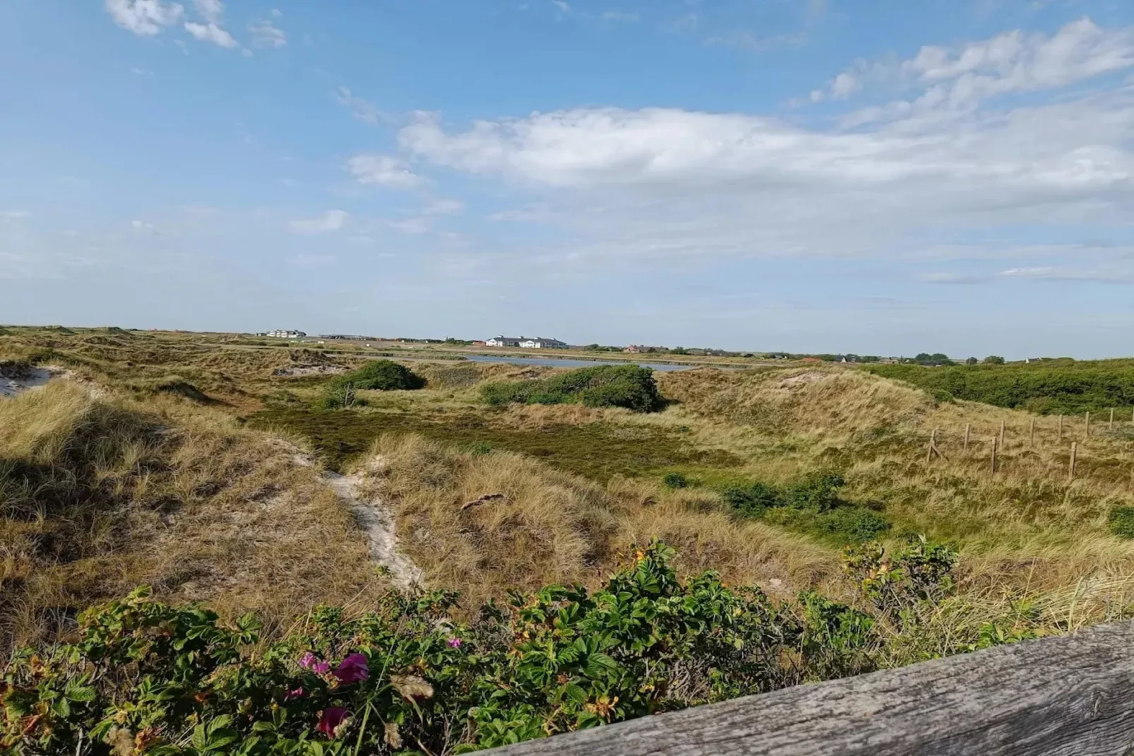 Ferienwohnung Sommerdeich  2 Personen-Gebiete Sommer 5 km