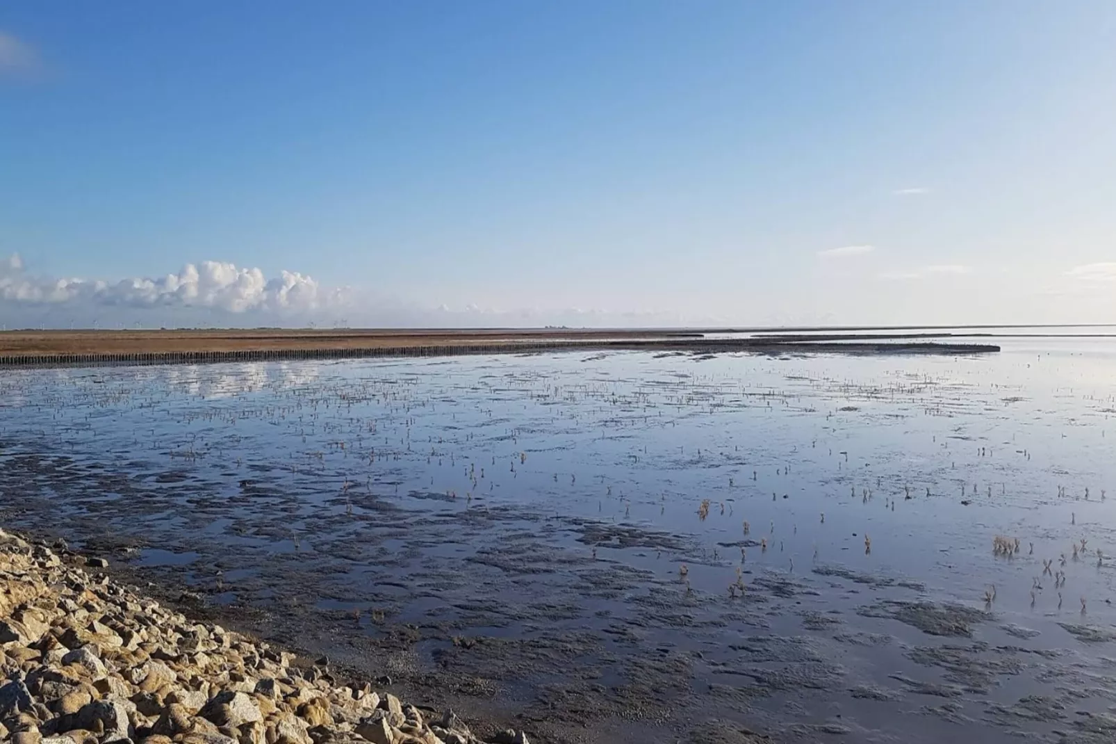 Ferienhaus Föhr-Gebiete Sommer 5 km