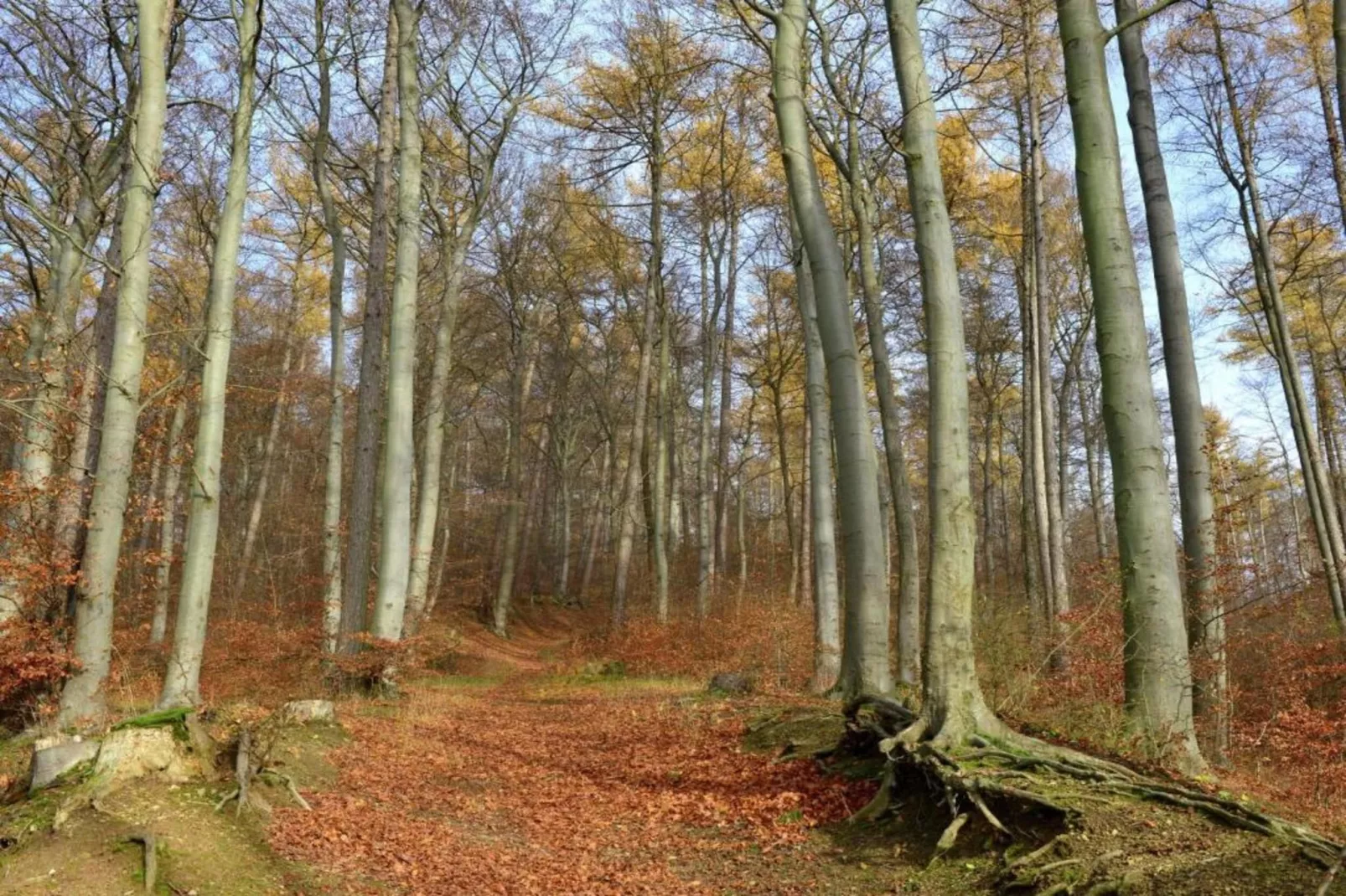Weserbergland-Gebiete Sommer 20 km