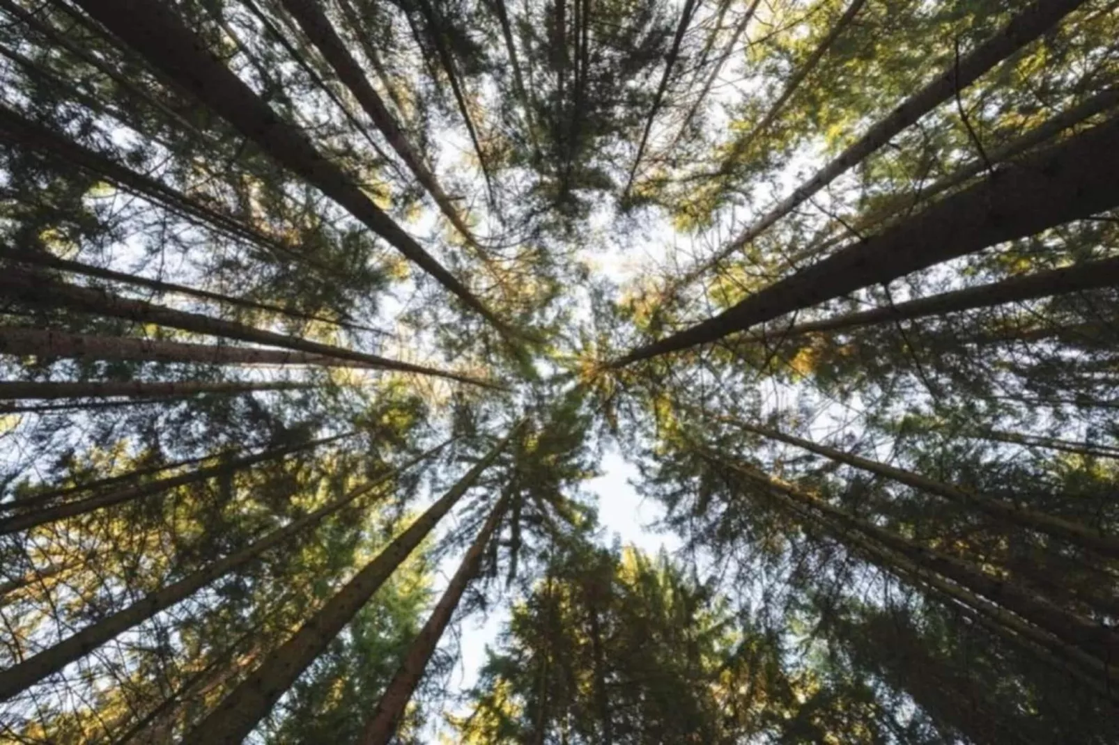 Feriendorf Natur pur 5-Zones été à 20 km