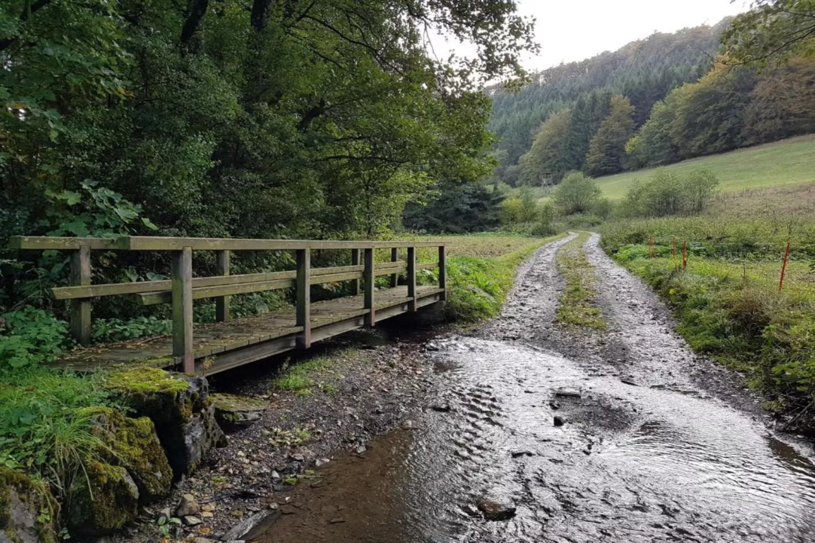 Appartement Willingen-Gebiete Sommer 5 km