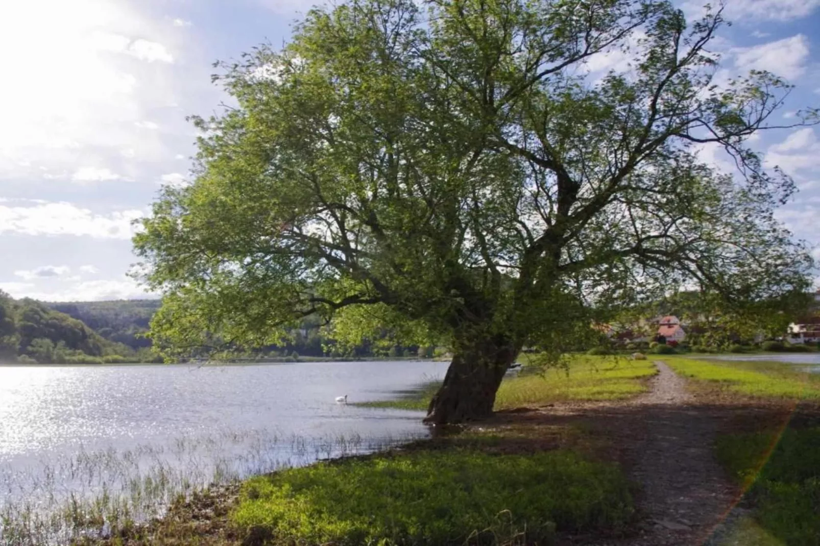 Hülsemann-Areas within 5km in summer