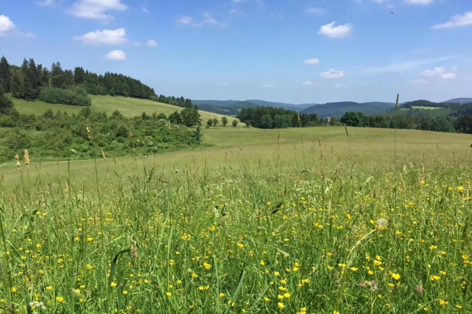 Diemelsee-Areas within 5km in summer
