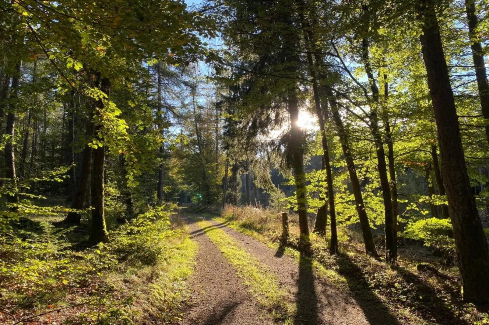 Sauerland - Diemelsee-Areas within 5km in summer