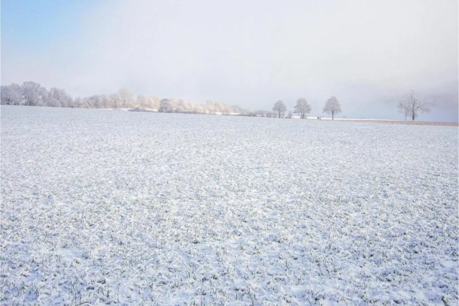 Densberg-Area within 20km in winter