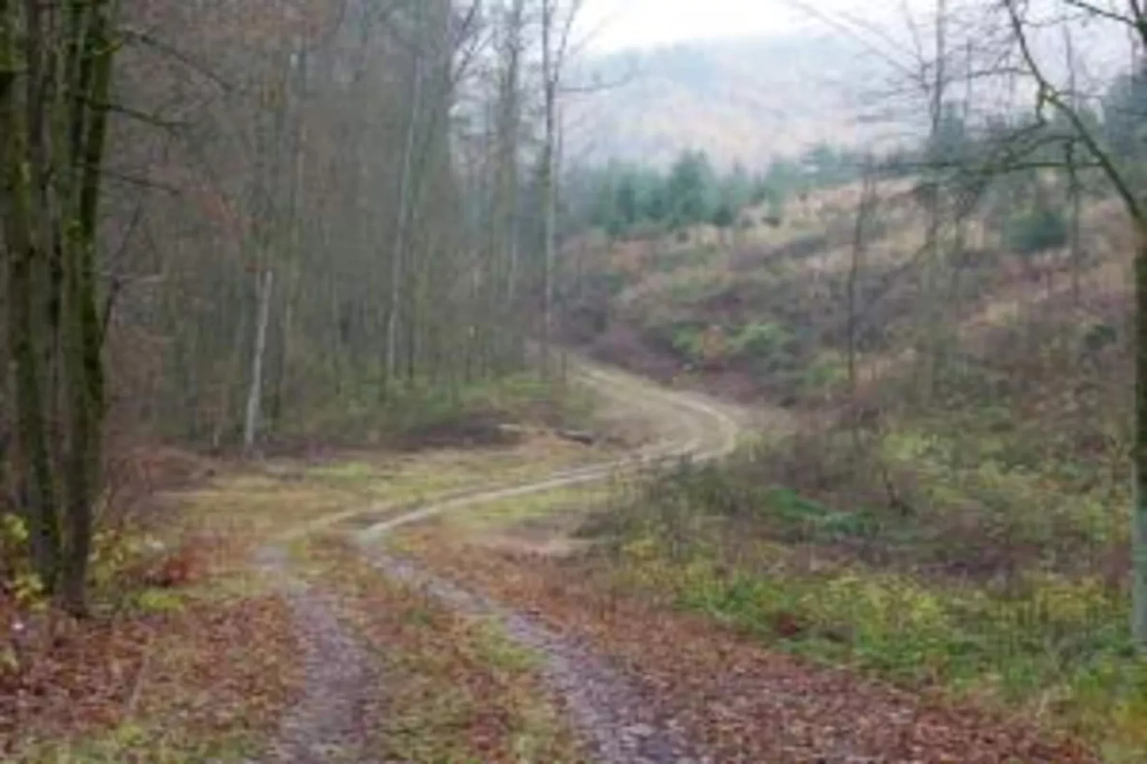 Stalter-Areas within 20km in summer