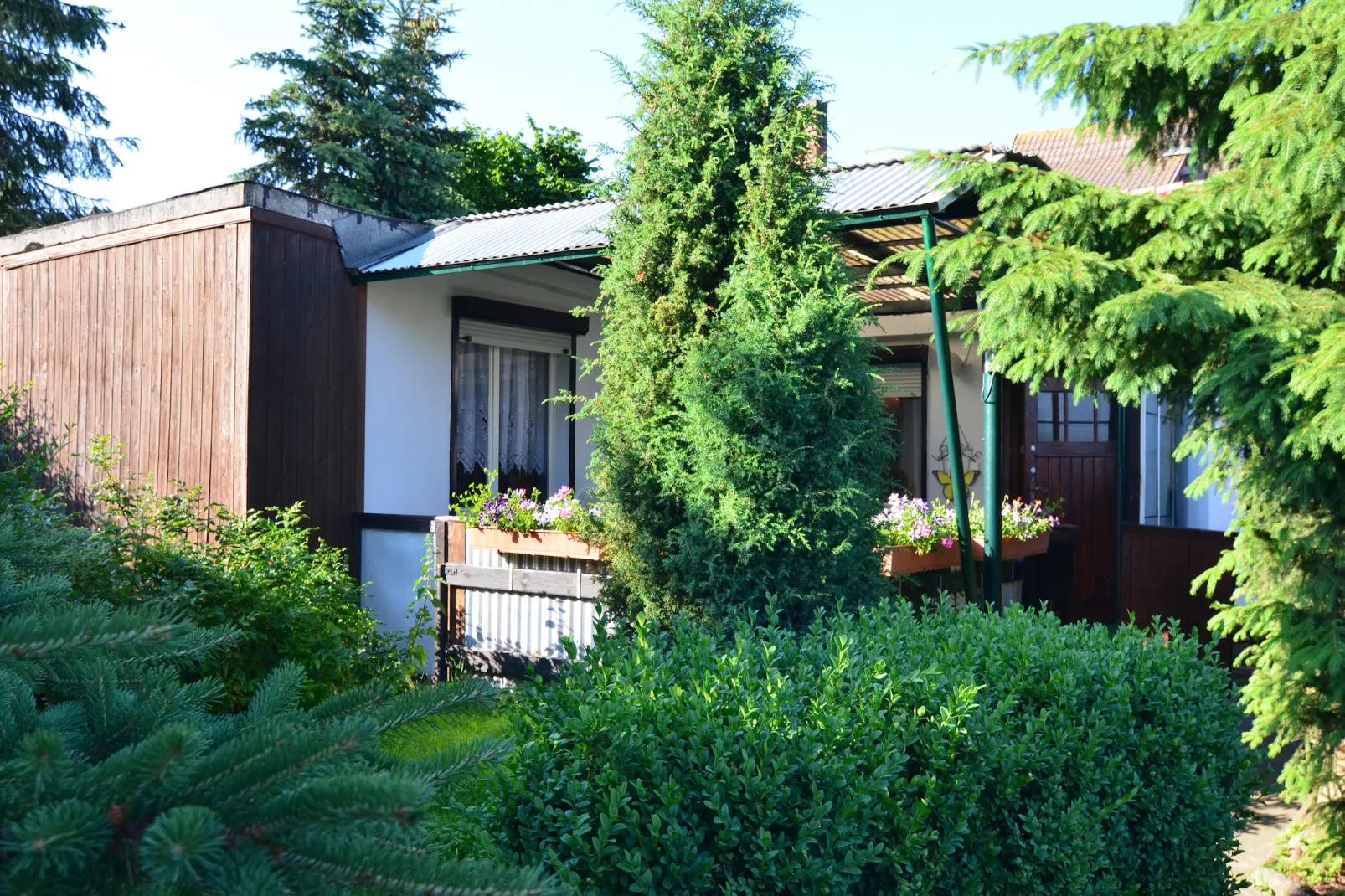 Angela-Exterior in summer