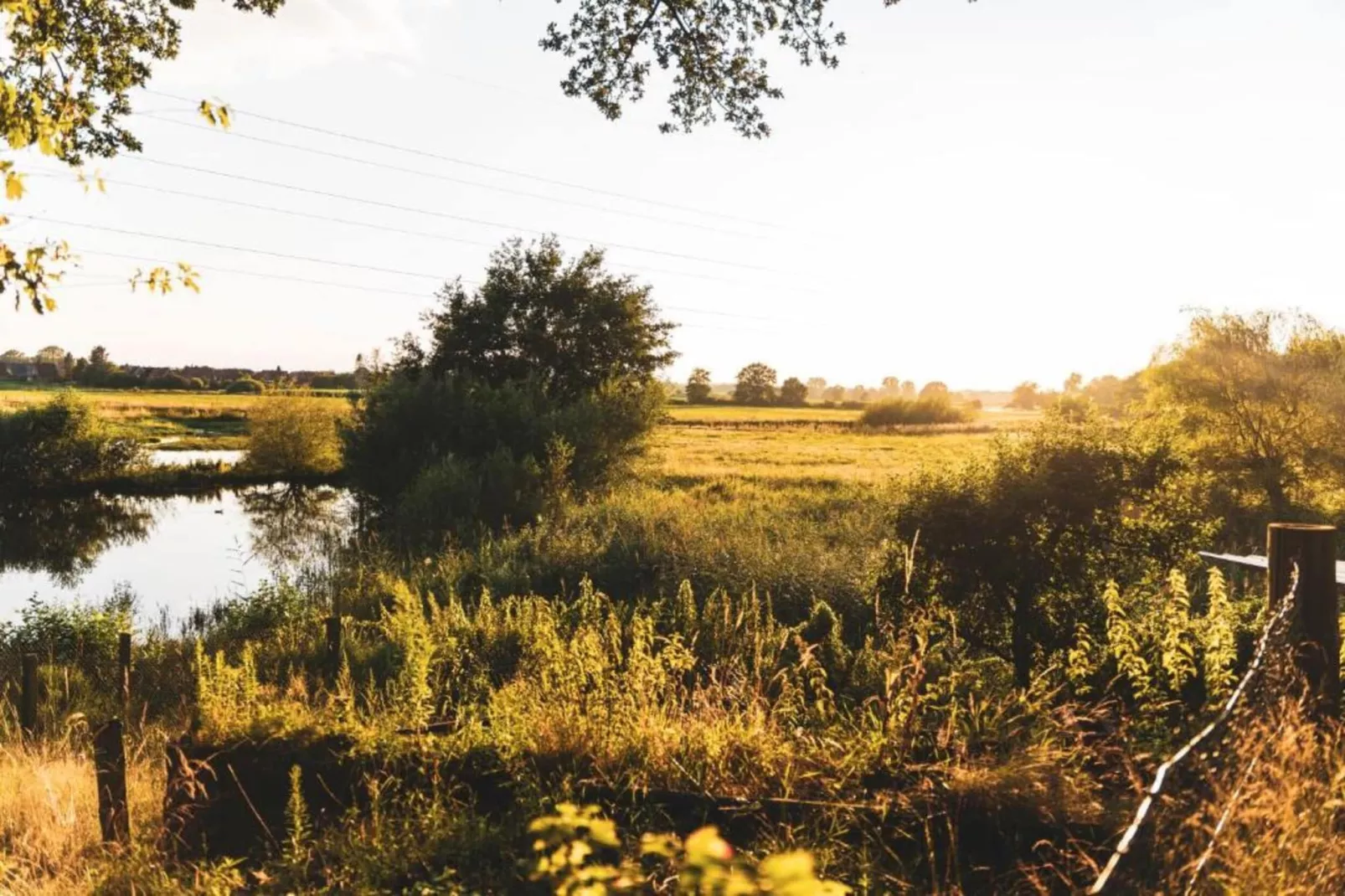 Ferienresort Bad Bentheim 16 - Areas within 20km in summer