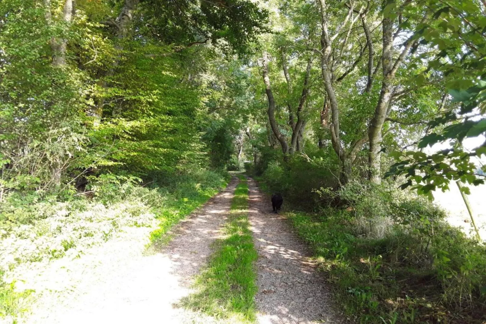 Morsbacher Hof III-Gebiete Sommer 20 km