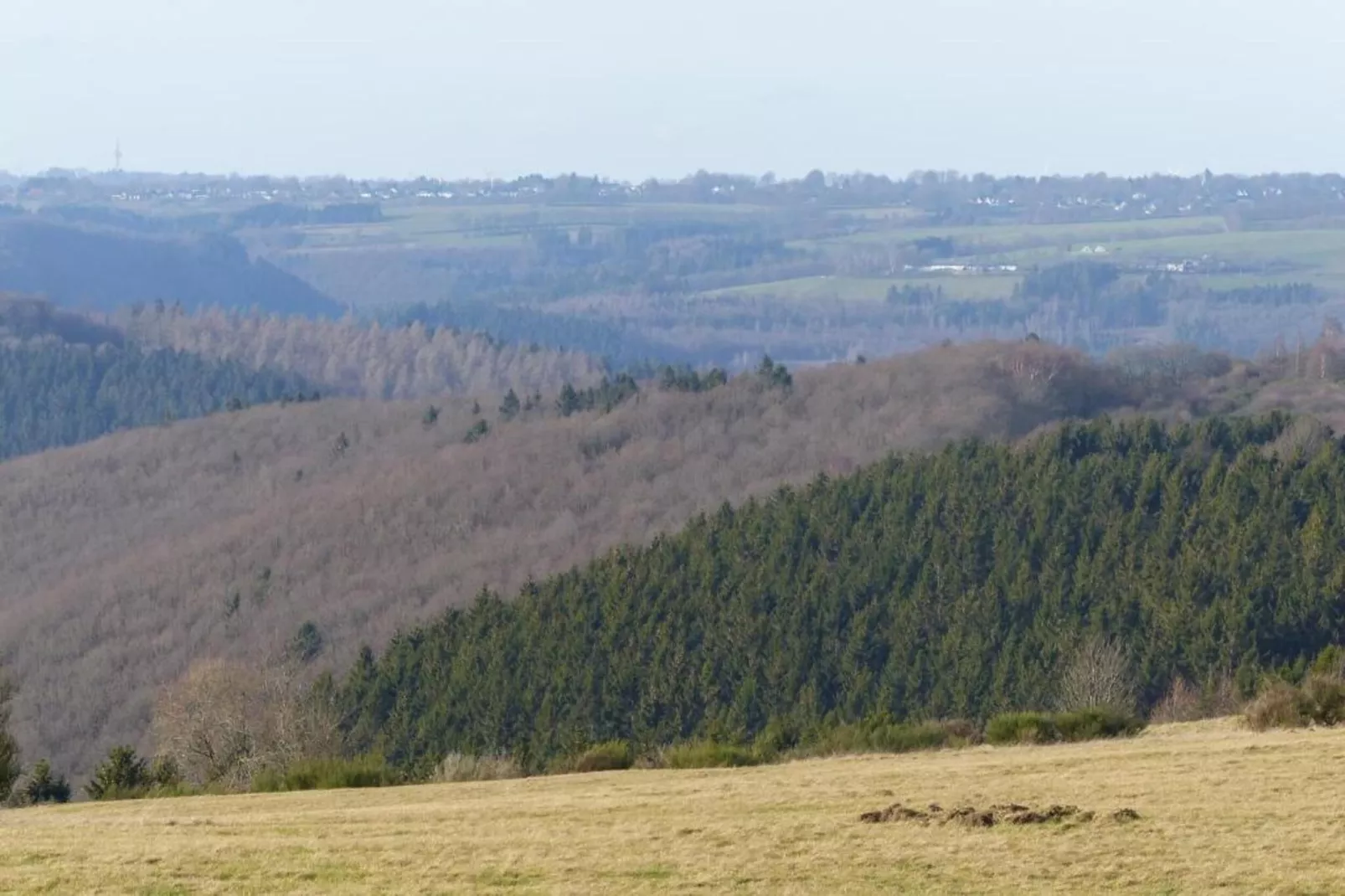 Morsbacher Hof II-Areas within 20km in summer