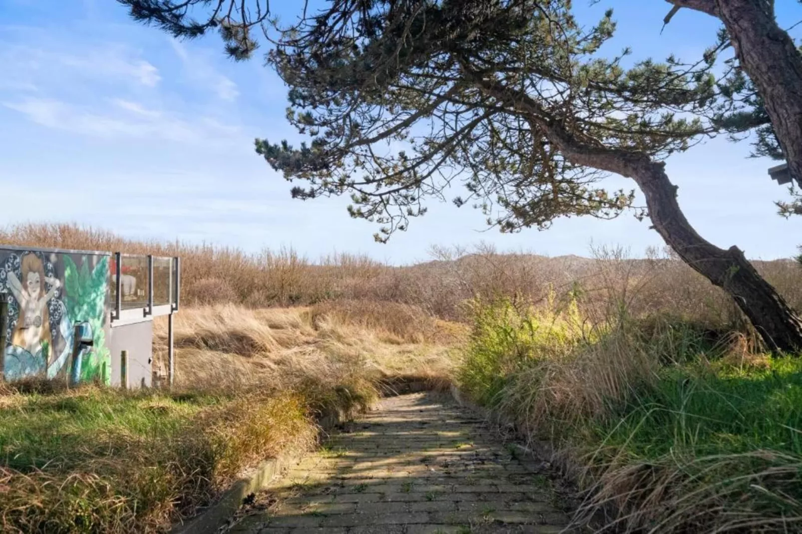 Eifelpark Kronenburger See 4-Gebiete Sommer 20 km